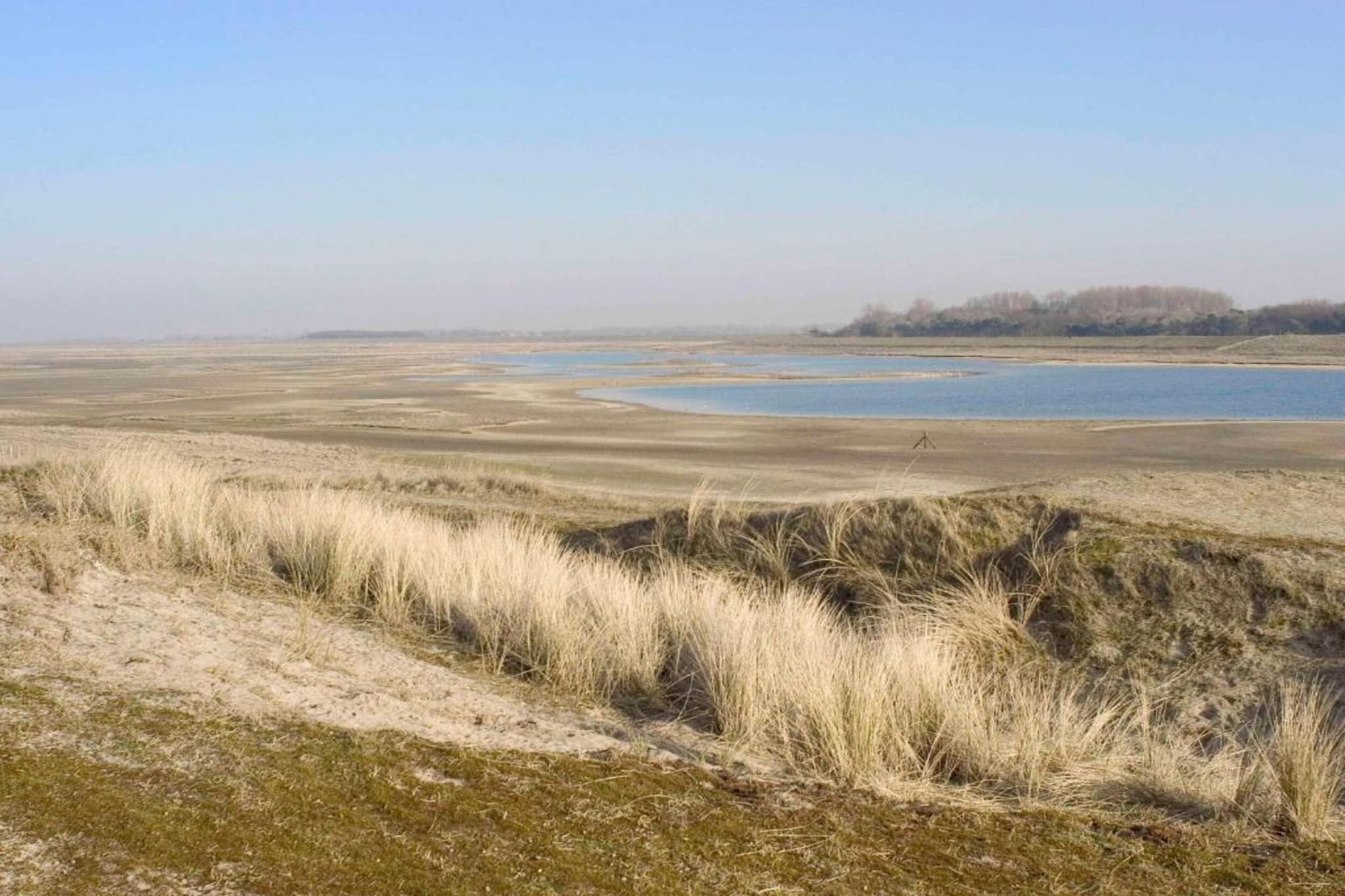 Sandpiper B0-Areas summer 5km