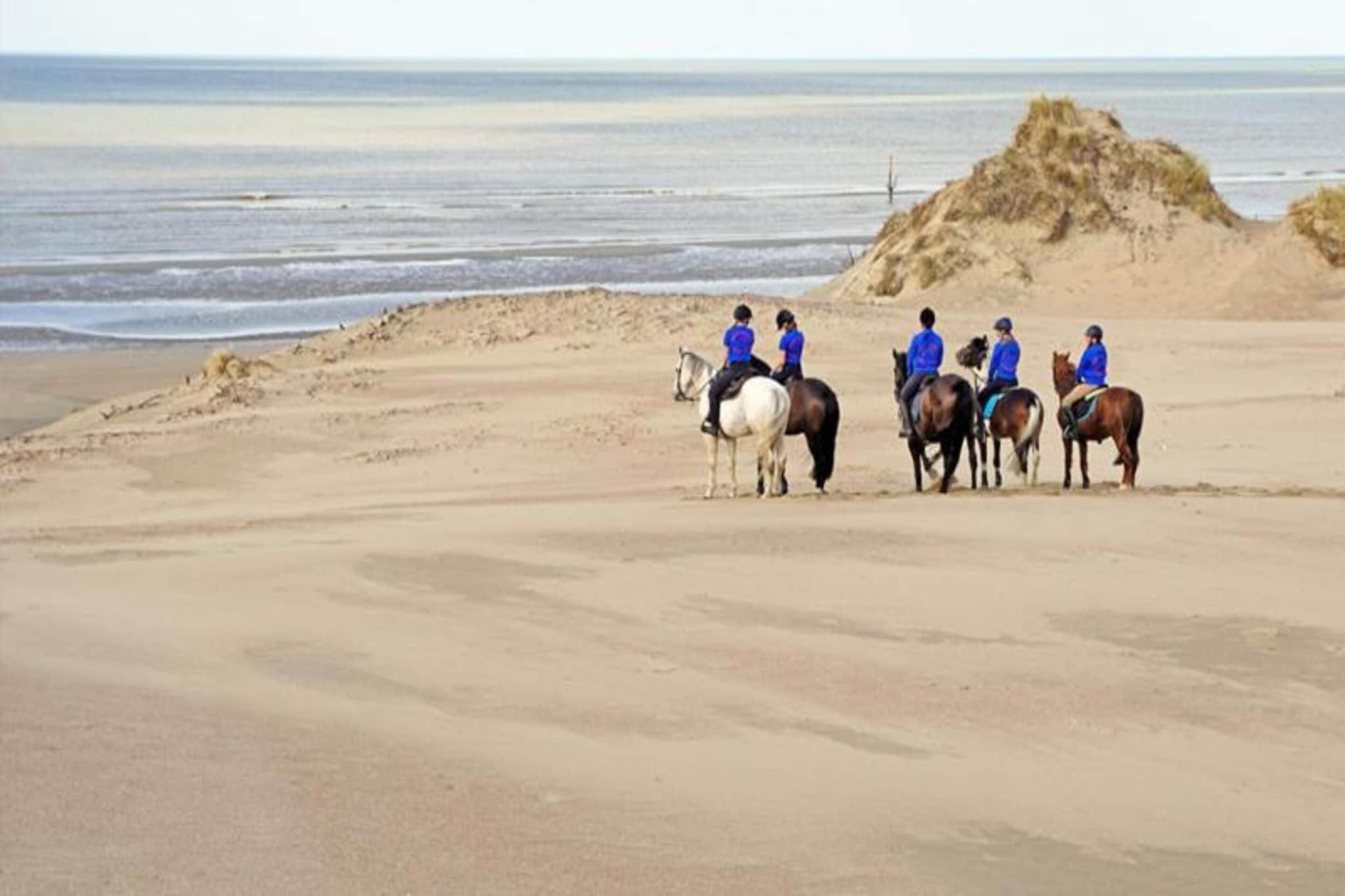 Golden beach 1 0203 2C-Areas summer 20km