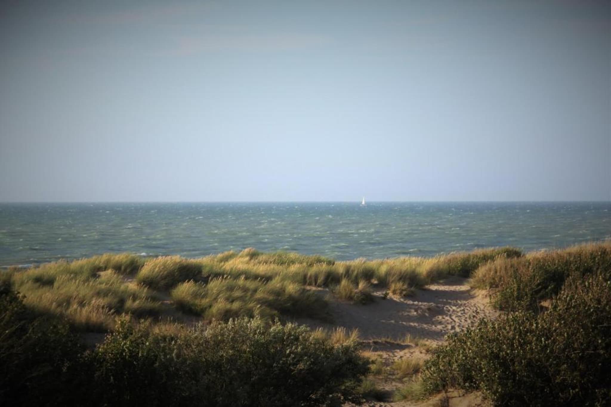 Clipper 0202-Gebieden zomer 20km
