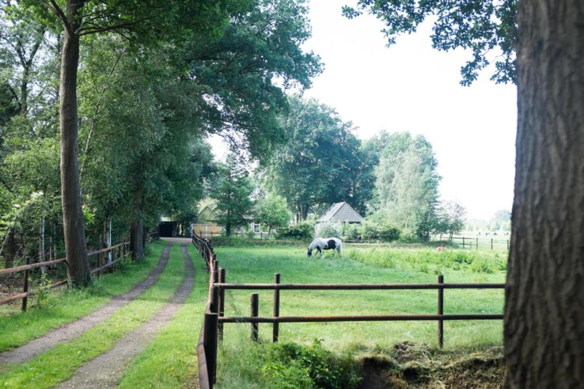 Buitenplaats Gerner 8-Gebieden zomer 20km