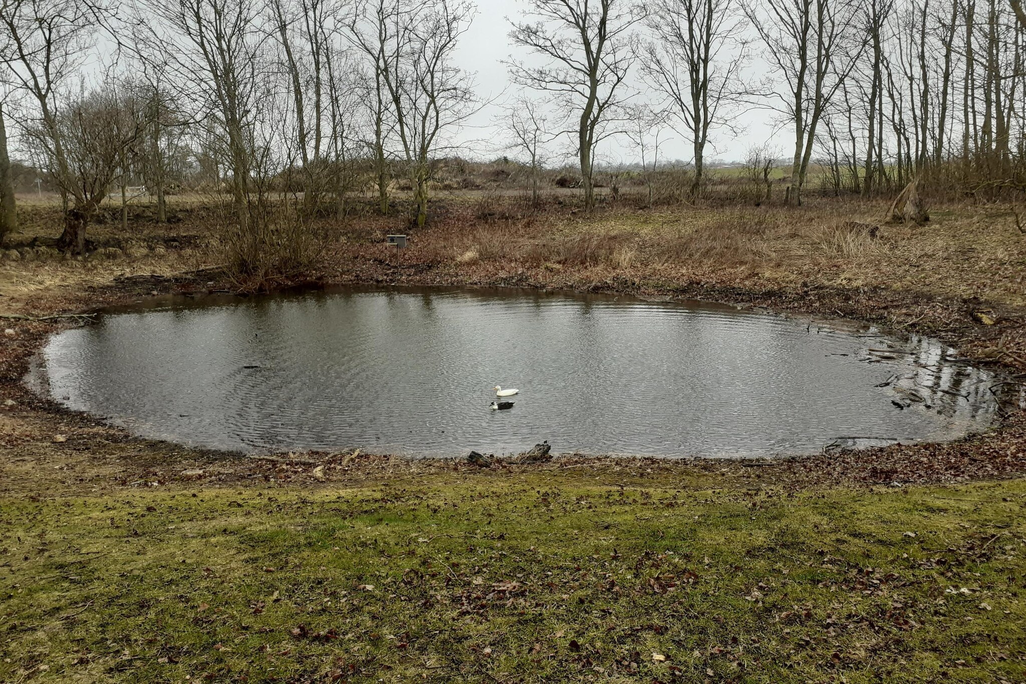 Schlagsdorf 40 EG Feldblick-Gebieden zomer 5km