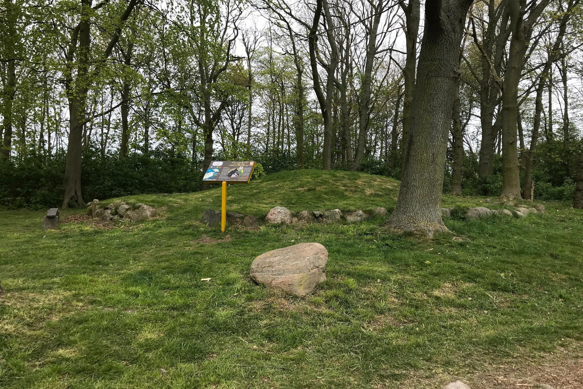 Schlagsdorf 40 EG Feldblick-Gebieden zomer 5km