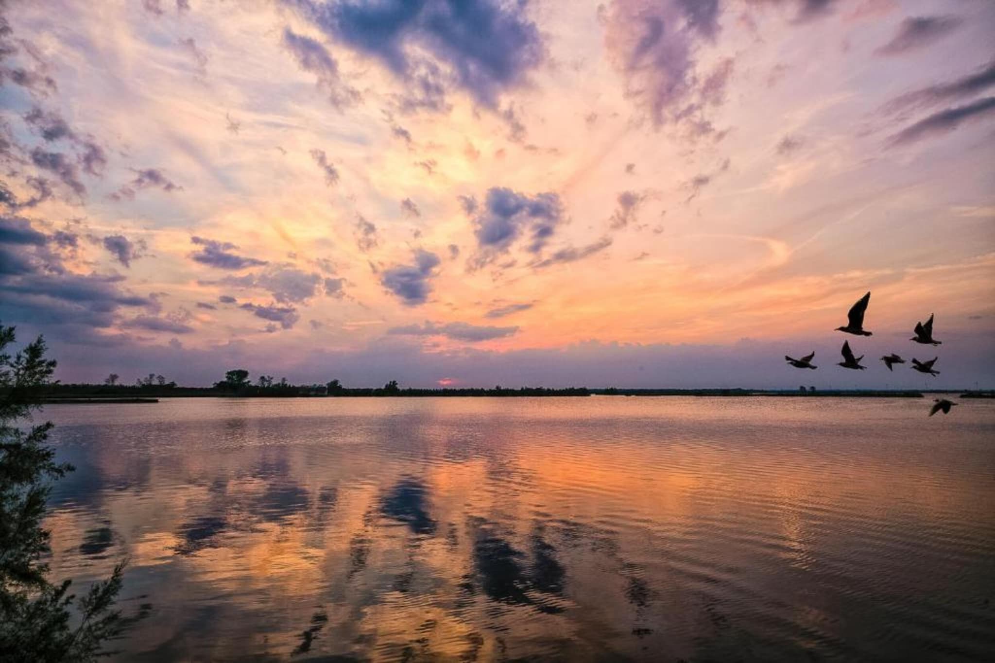 Milla 7-Gebieden zomer 5km