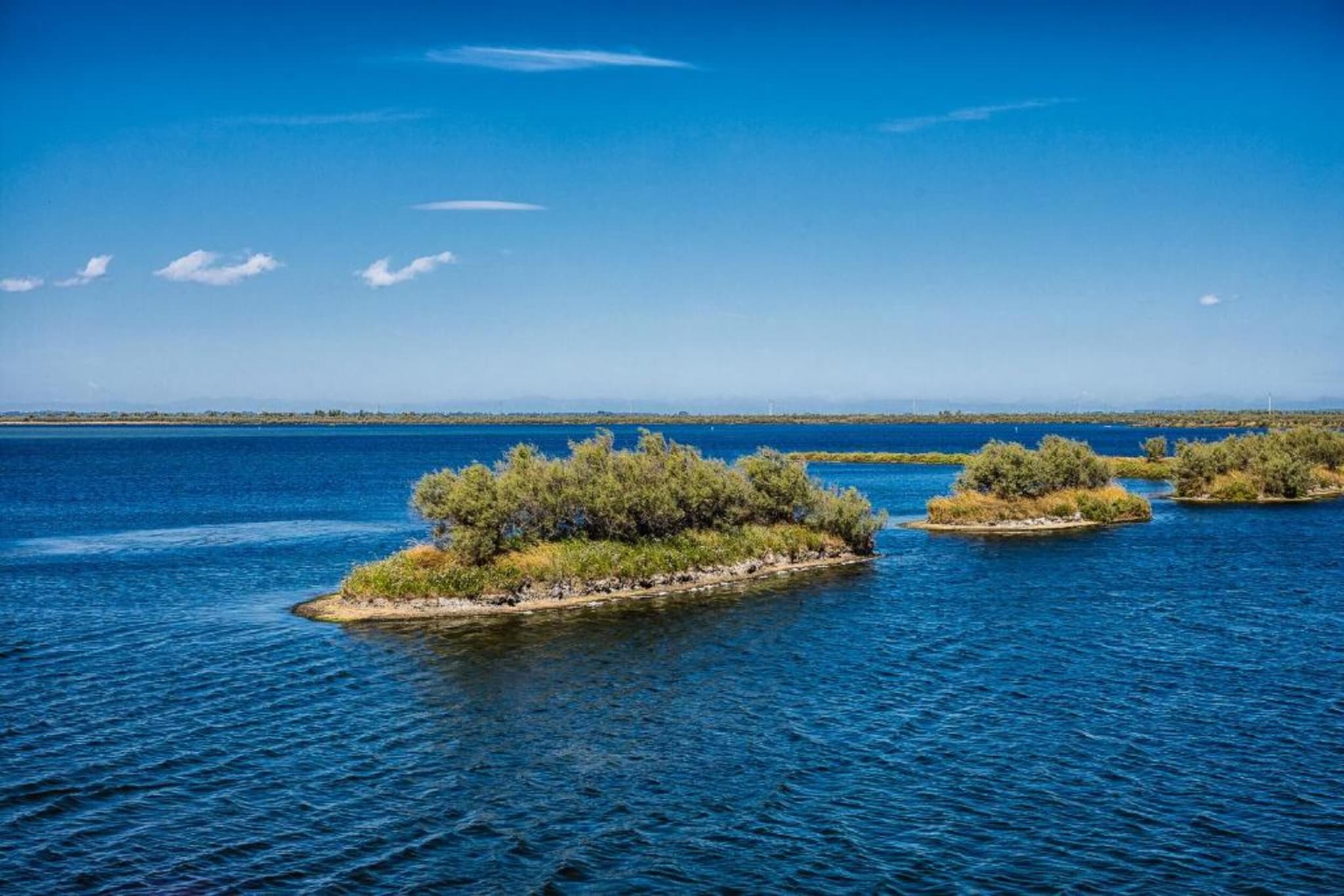 Milla 7-Gebieden zomer 5km