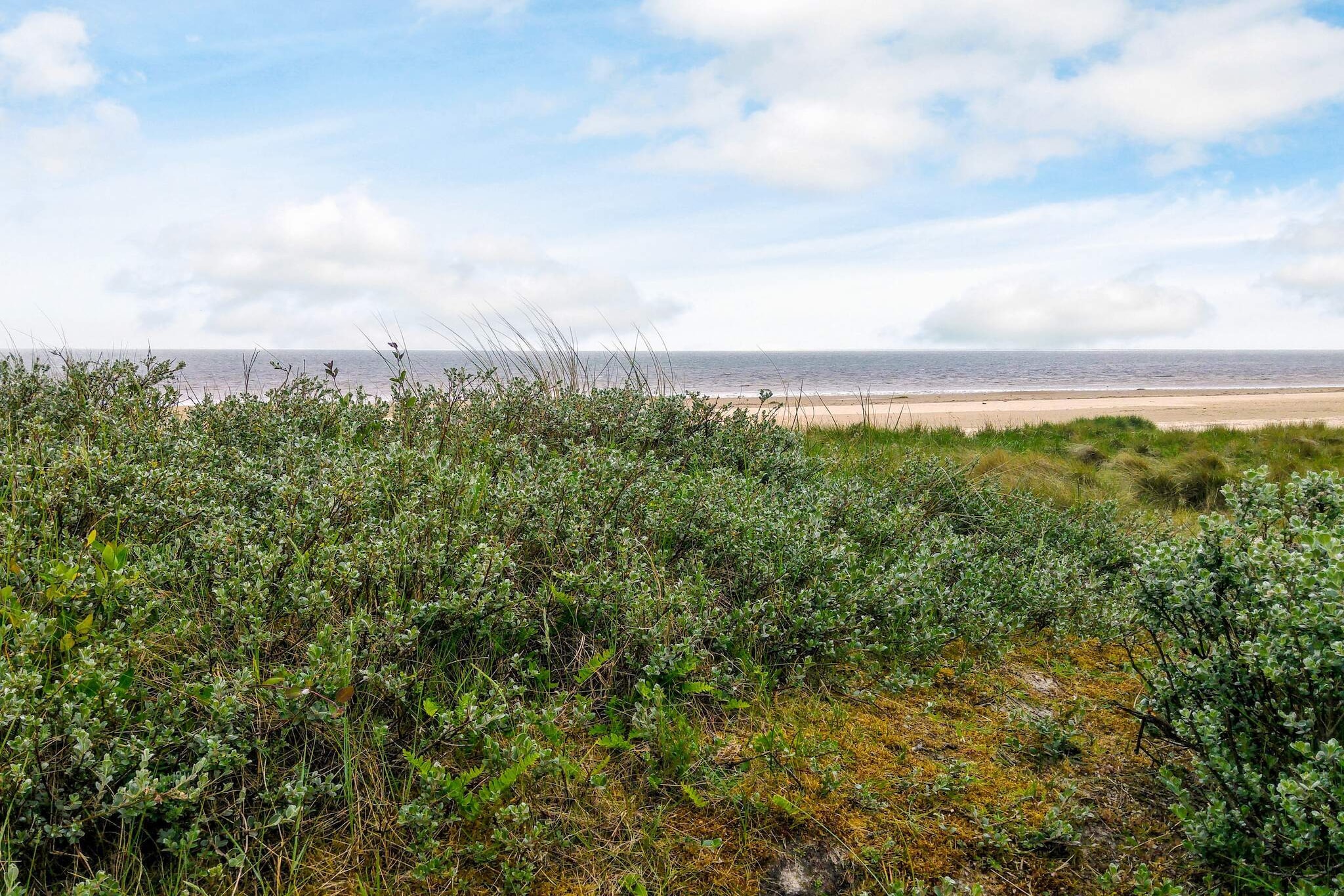 6 persoons vakantie huis in Fanø-Waterzicht