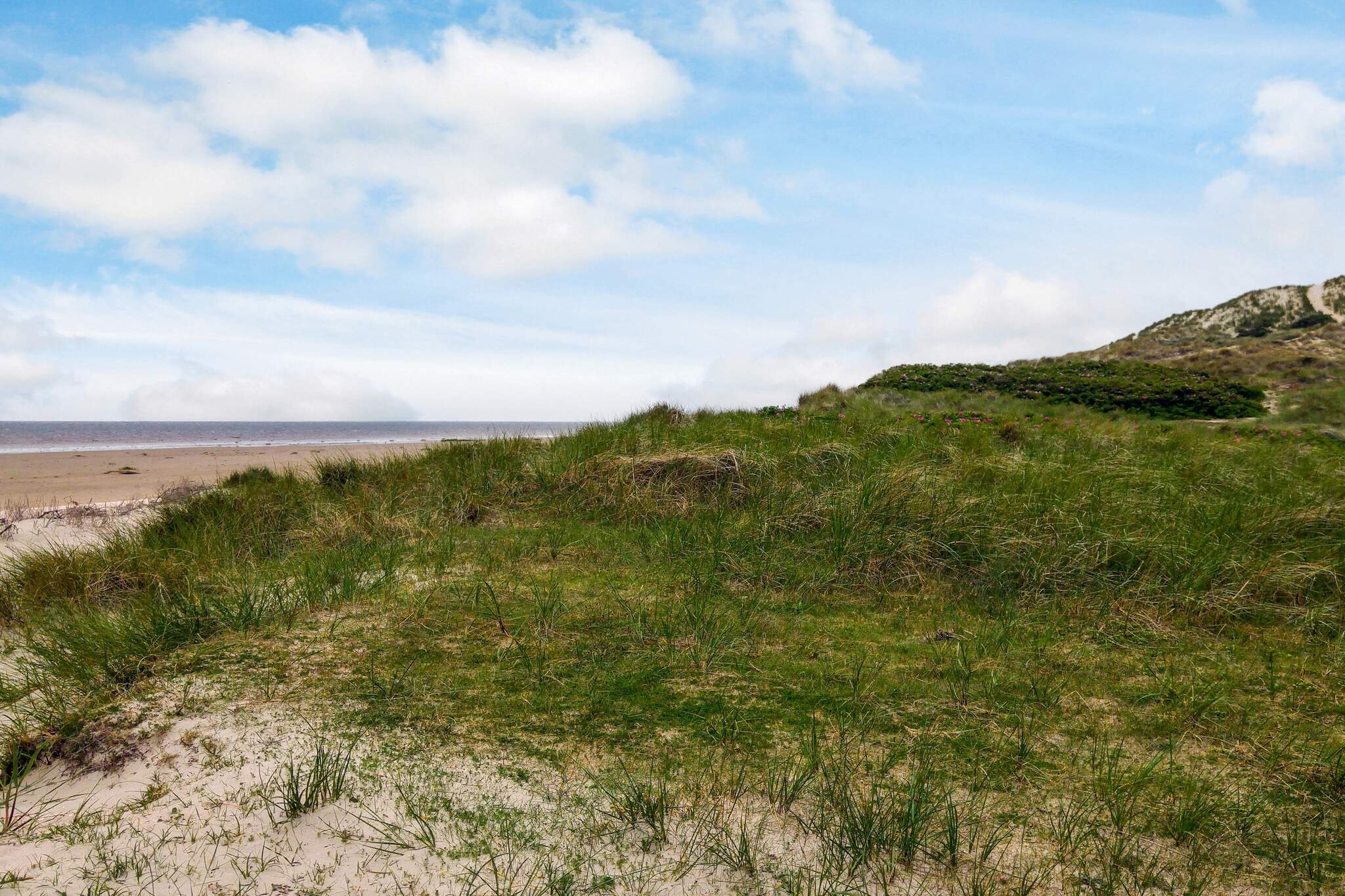 6 persoons vakantie huis in Fanø-Waterzicht