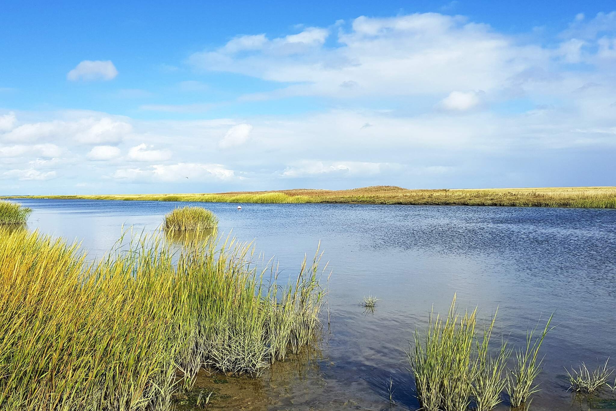 6 persoons vakantie huis in Fanø-Waterzicht