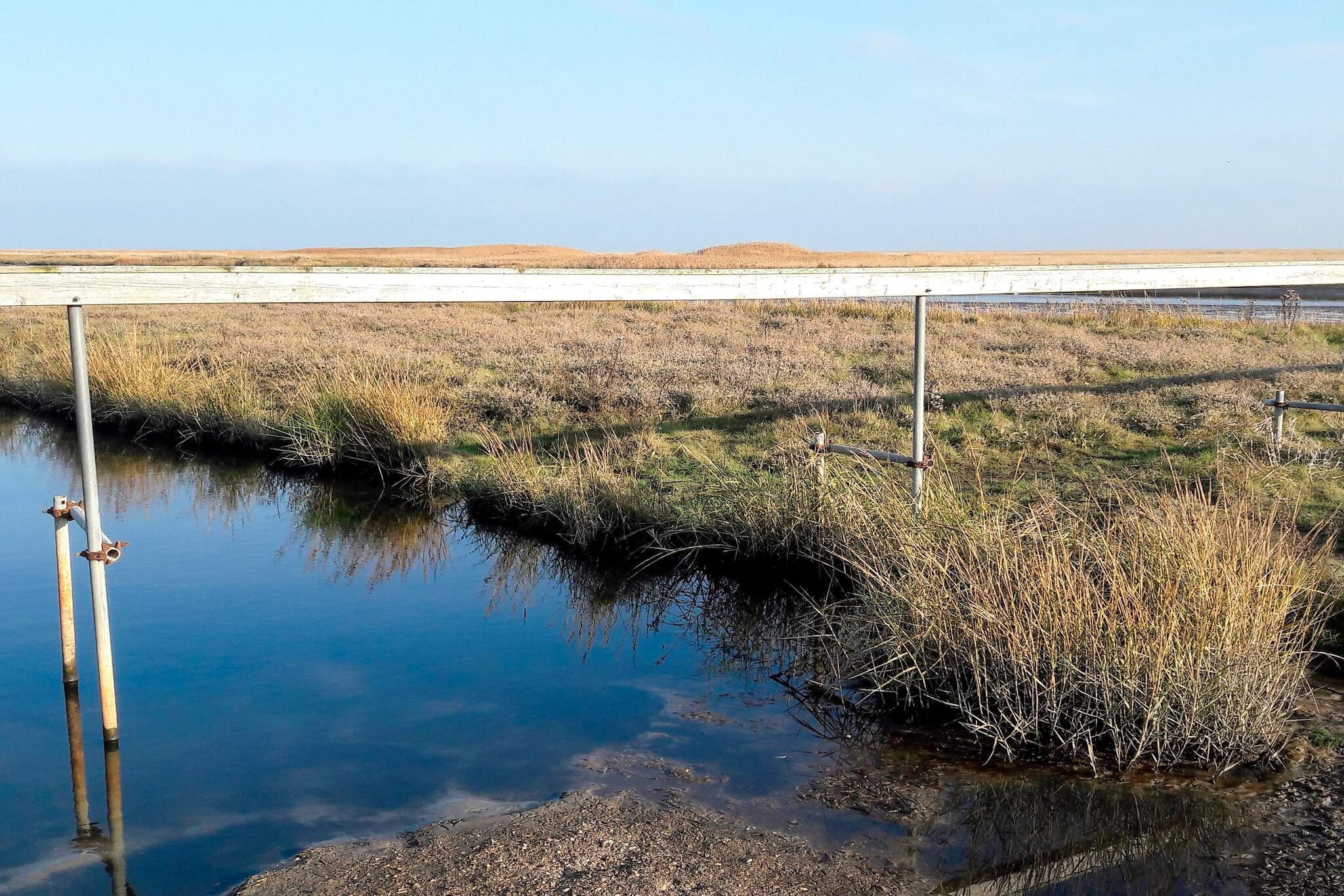 6 persoons vakantie huis in Fanø-Waterzicht