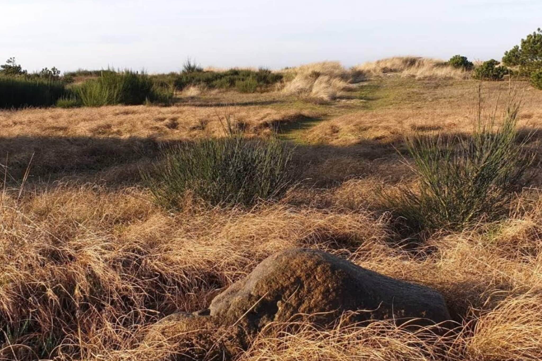 5 persoons vakantie huis in Store Fuglede-By Traum-Niet-getagd