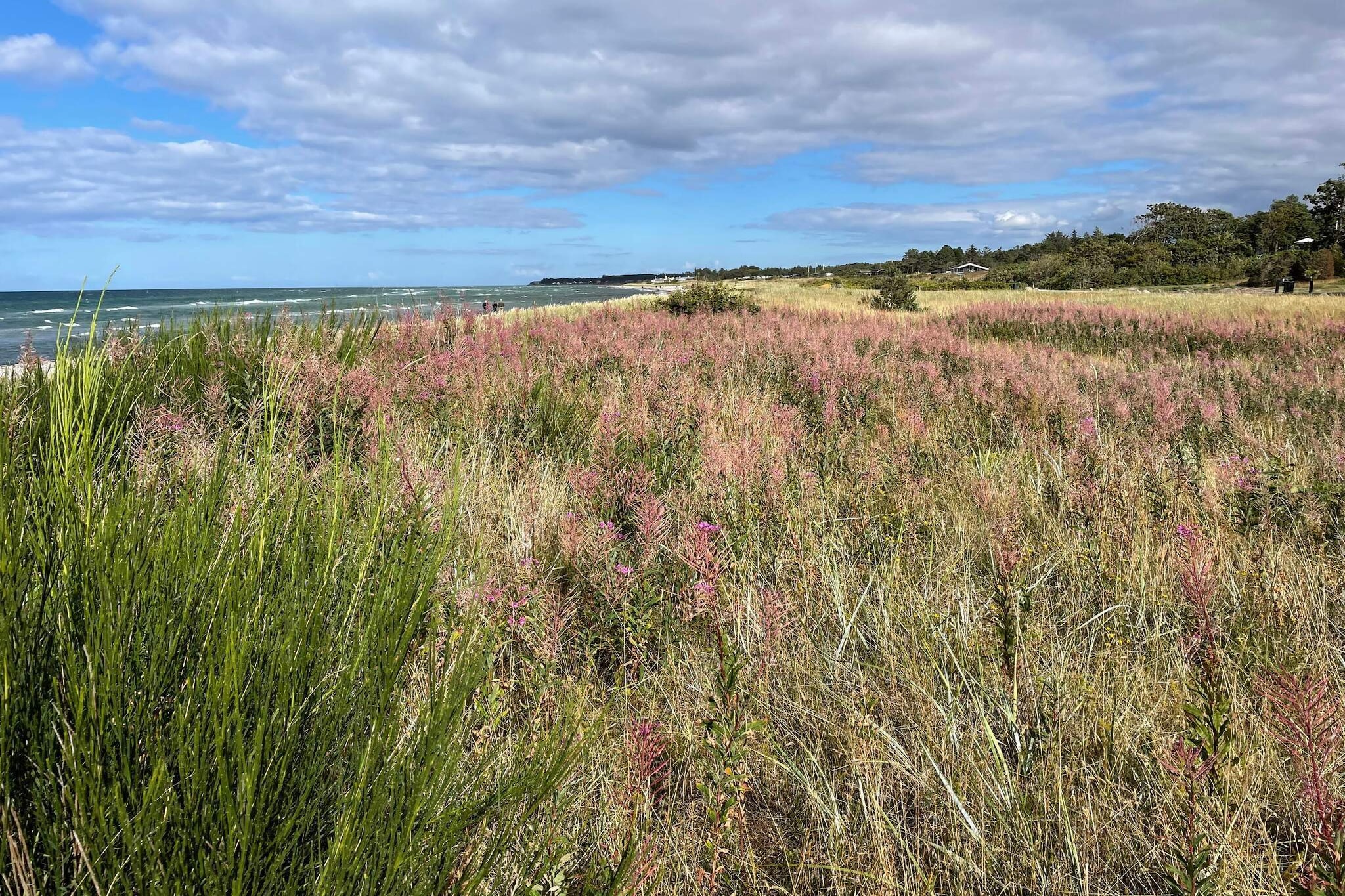 If you are looking for the perfect intersection of coastal nature and spa-like luxury, this is it. Tucked away in the serene eastern part of Fjellerup Strand, this property isn't just a place to sleep—it’s a wellness retreat. Whether you're here to conquer the trails of Meilgaard Forest or spend your days at the beach, you’ll return to a home that prioritizes your relaxation with a private hot tub, a traditional sauna, and a cozy wood-burning stove. The Daily Rhythm • The Morning Stroll: A mere 5-minute walk brings you to the water’s edge. Grab your coffee and head to the beach before the rest of the world wakes up. • The Afternoon Adventure: You are perfectly positioned in Denmark's "Attraction Hub." Within a short drive, you can be at Djurs Sommerland, Ree Park Safari, or the Kattegat Center. • The Evening Unwind: Fire up the gas grill on the covered terrace, then retreat inside to your private spa for a night of total recovery. The Fine Details • Sleep &amp; Comfort: Four high-comfort bedrooms and an energy-efficient air-to-air heat pump ensure the perfect climate for rest. • Tech &amp; Convenience: Stream your favorite movies via Chromecast or prepare a gourmet meal in the fully kitted kitchen (complete with dishwasher and laundry facilities). • Nature at Your Door: Set on a large natural plot, you have all the privacy you need to enjoy the Danish "Hygge" lifestyle. At a Glance: Why Book? • Private Spa: In-house hot tub and sauna. • Beach Access: 5-minute walk to the coast. • Family Fun: Minutes from Djurs Sommerland and Zoo. • Modern Amenities: Gas grill, Chromecast, and Wood Stove.A refundable deposit might be charged closer to your check-in date. The security deposit ensures a smooth stay and covers any additional services or consumption charges.This deposit covers utilities consumed during your stay and any additional services that may be taken.The final amount will be adjusted based on actual meter readings, actual usage of extra services, and any remaining balance will be refunded within 21 days after checkout.This deposit simply acts as a prepayment for charges that  you would anyways pay for, ensuring a seamless stay and check-out experience.
