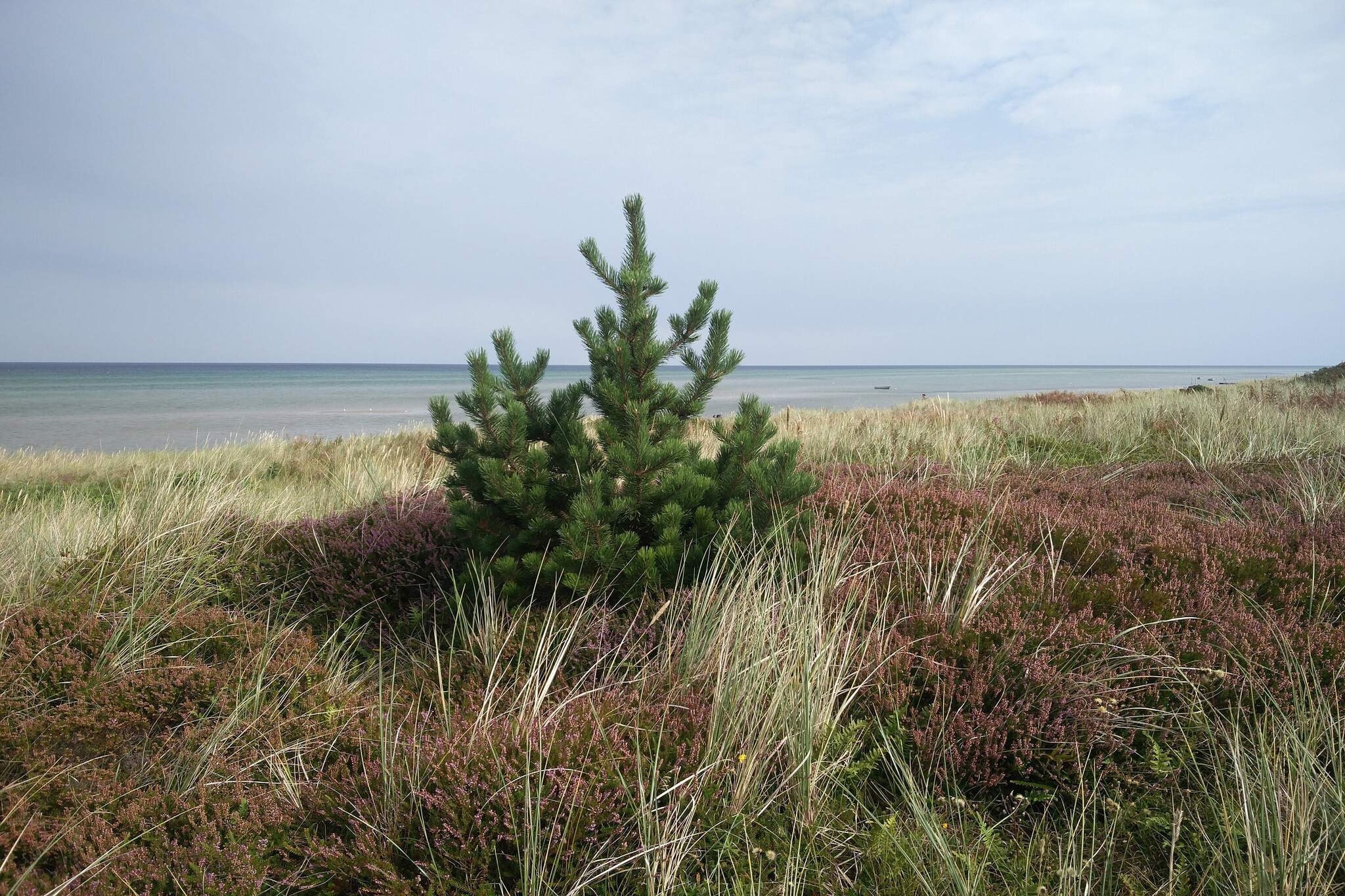 6 person holiday home in Glesborg-By Traum