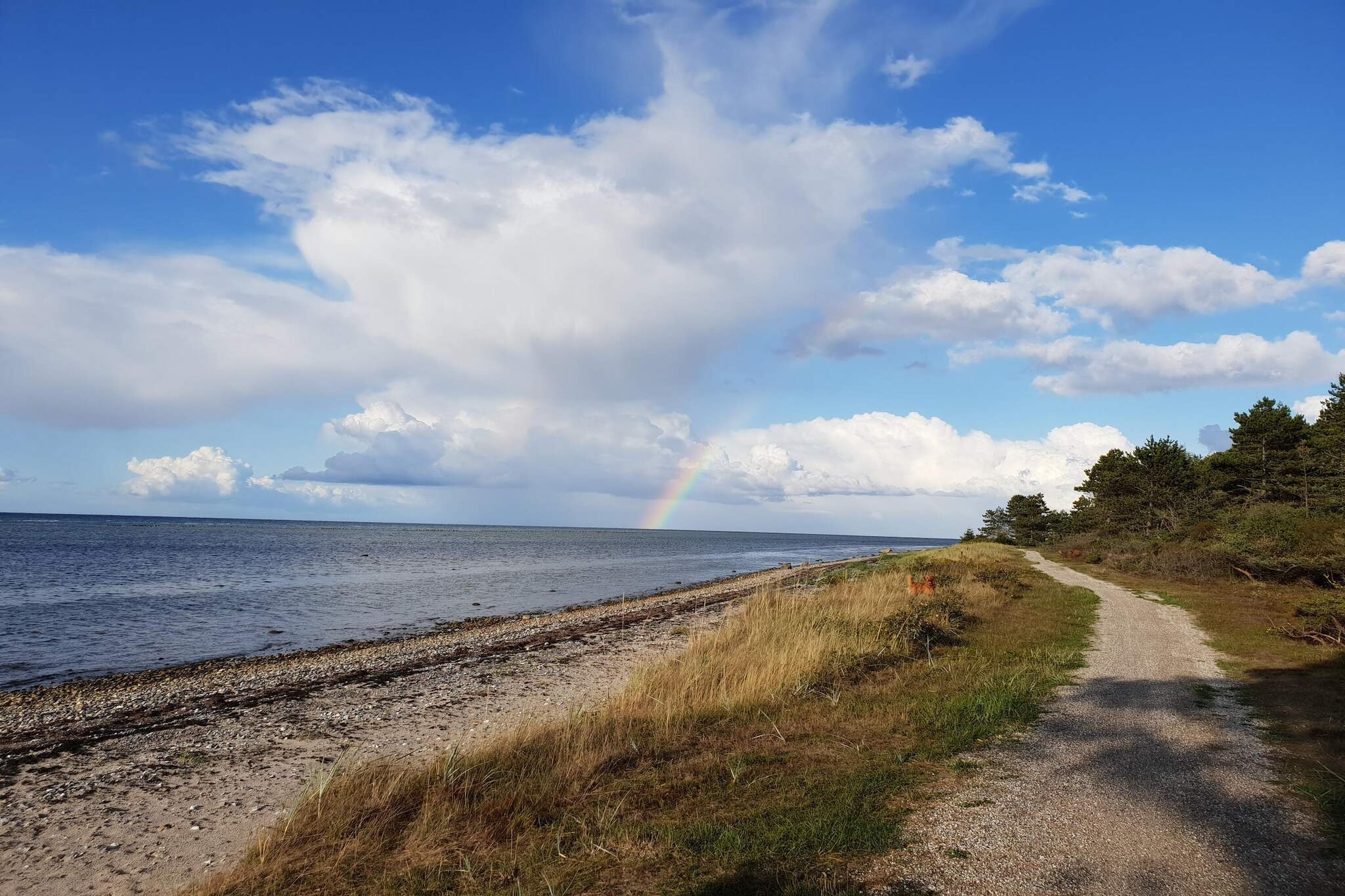 6 persoons vakantie huis in Glesborg-By Traum