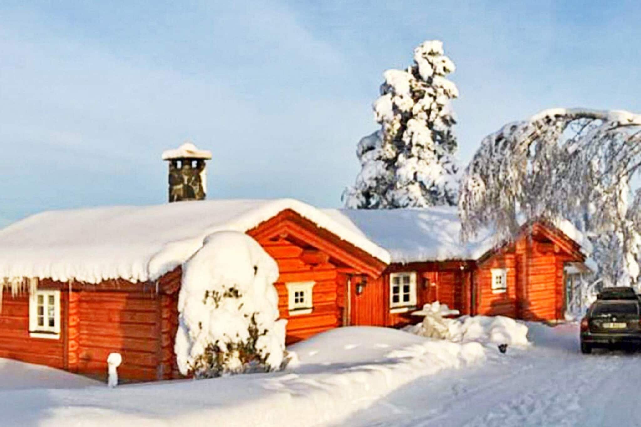 Cozy lofted newer cabin with a high standard on Noresund, 460 m.a.s.l. in a quiet cabin area with great hiking/skiing opportunities summer and winter. You can drive to the cabin all year round. Guests will need to bring their own bed linen. The cabin is in the middle of a quiet cul-de-sac with only 11 cabins. Open kitchen with a beautiful view of Norefjell. Cozy living room with fireplace. Well equipped kitchen. One bedroom with a double bed and two with a family bunk, where the lower bunks are 120 cm. Great bathroom with shower cubicle and access to sauna. The cabin has its own laundry room with washing machine and a separate toilet. Large terrace outside the cabin with a fire pit which must only be used during winter. There are ski slopes right outside the door and approx. 20 minutes’ drive to Norefjell Alpinsenter. In summer, there are marked hiking trails in beautiful terrain right next to the cabin and great cycling opportunities on mountain roads and trails. Nature offers many mushrooms and berries in a scenic area where you can enjoy the silence and the mountain air. Good fishing opportunities in Krøderen, where you can fish for trout, pike, whitefish, perch, and deep-water char. By Krødern, there are also swimming opportunities and beautiful sandy beaches. The cabin is not rented out to youth groups. There is a road toll fee of NOK 60. No charging facilities for electric cars by the cabin.