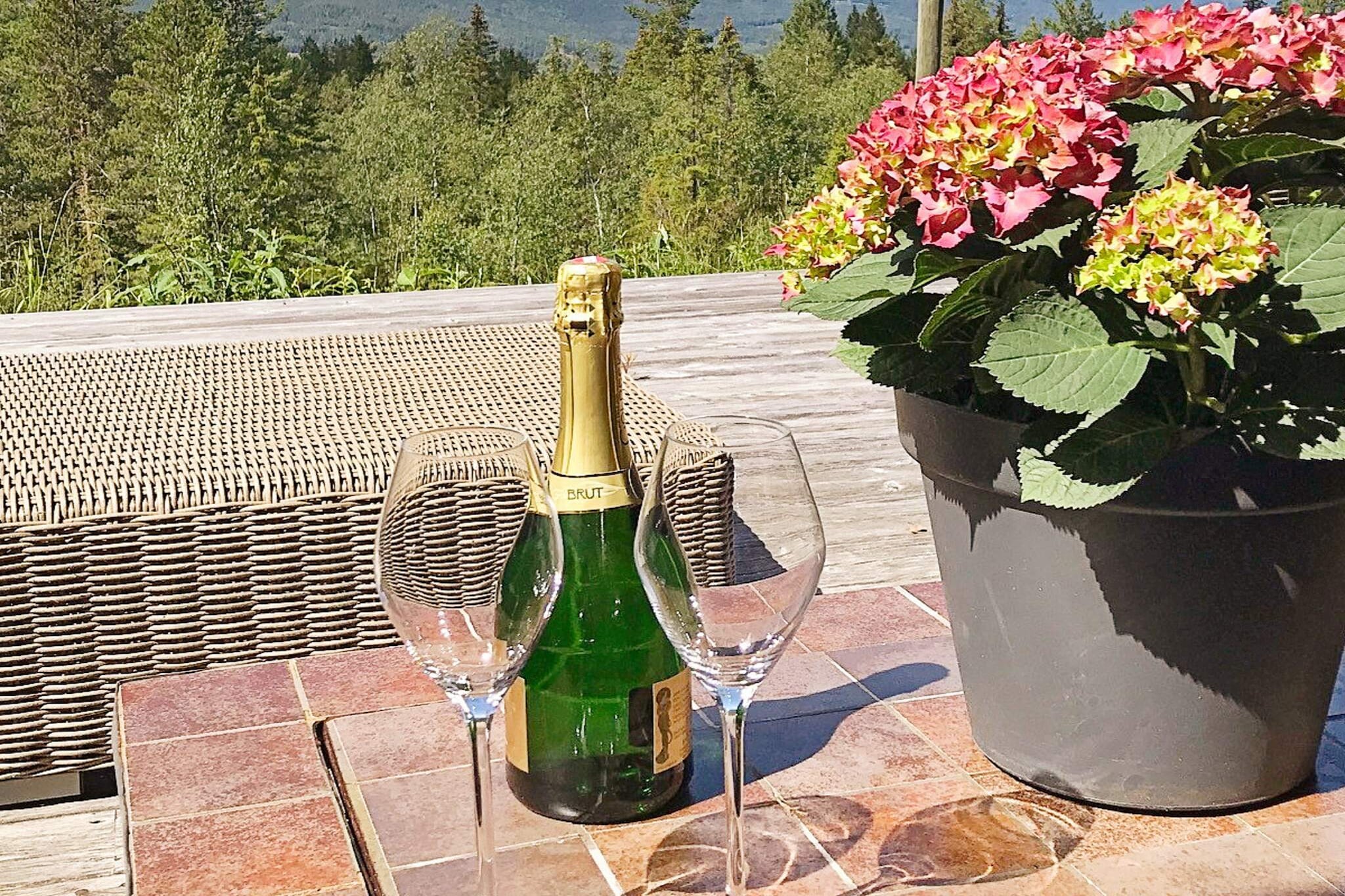 open kitchen(cooker(electric), hood, coffee machine(filter), dishwasher, fridge, freezer(1-59L), washing machine), Living/bed room(20 m2)(TV(cable, norvegian TV channels ), fireplace), bedroom(single folding bed, 2x bunk bed), bedroom(double bed), bedroom(single folding bed, 2x bunk bed), bathroom(floor heating)(bathtub or shower, washbasin, toilet), bathroom(floor heating)(washbasin, toilet), sauna(indoor, 5 persons), heating(electric), terrace(20 m2), terrace, garden furniture, parking, air to air heatpump