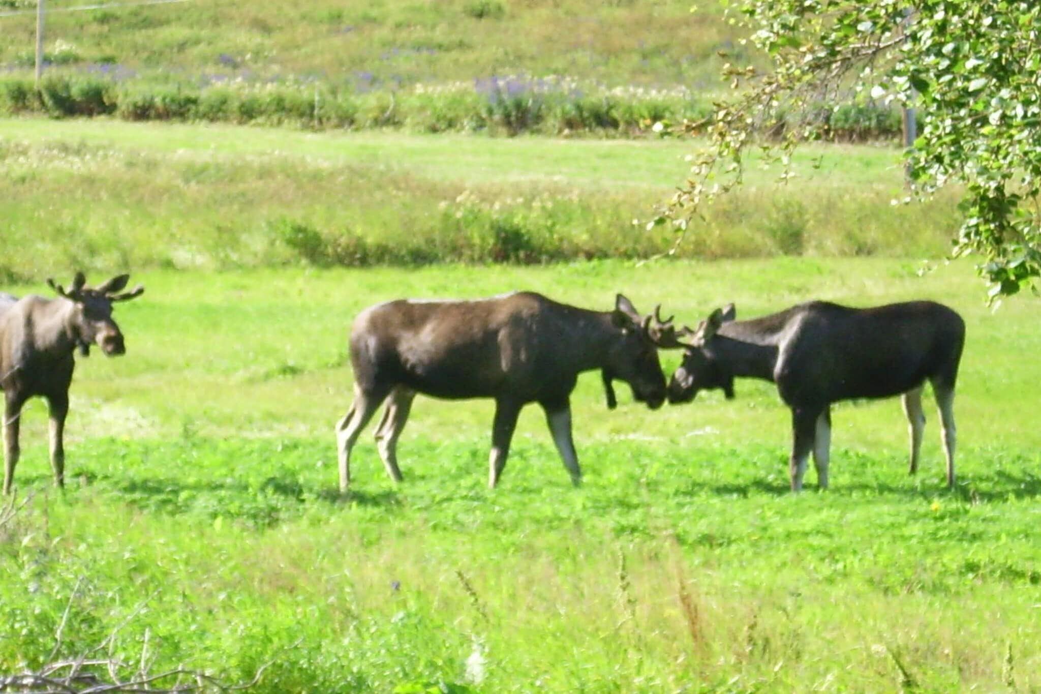 9 Personen Ferienhaus in Mosvik-By Traum - Nicht zugeordnet