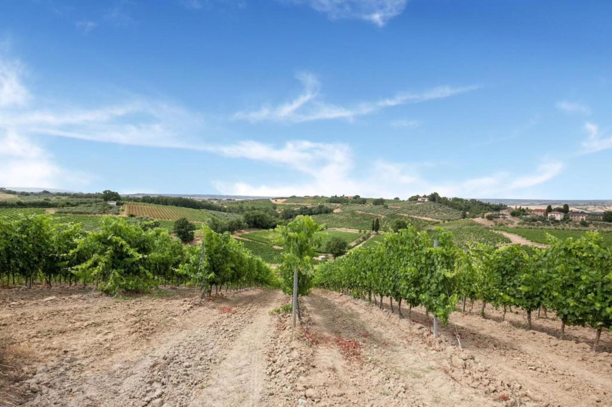 Olmo-Areas summer 20km