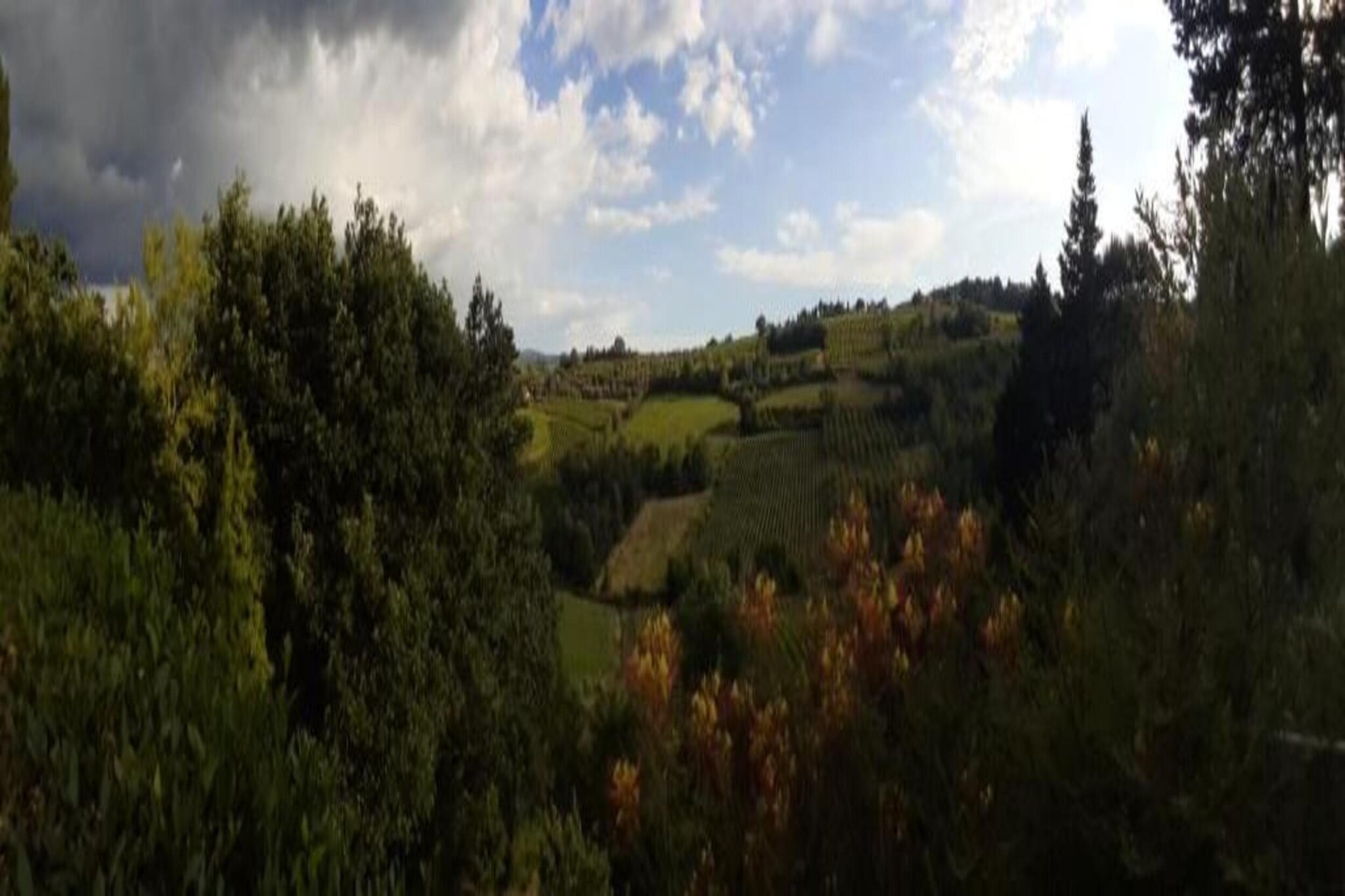 Abete-Areas summer 20km