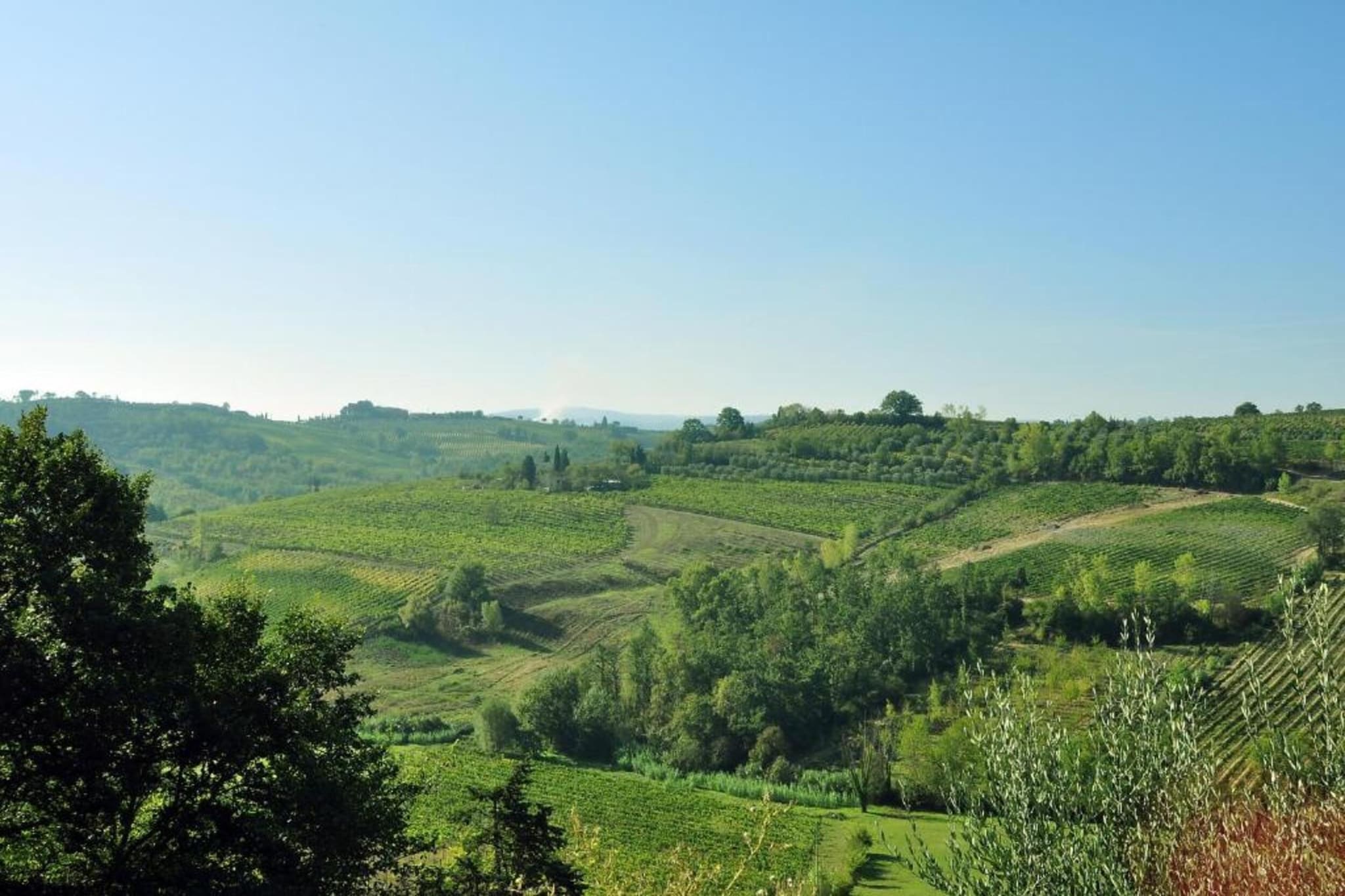 Abete-Areas summer 20km