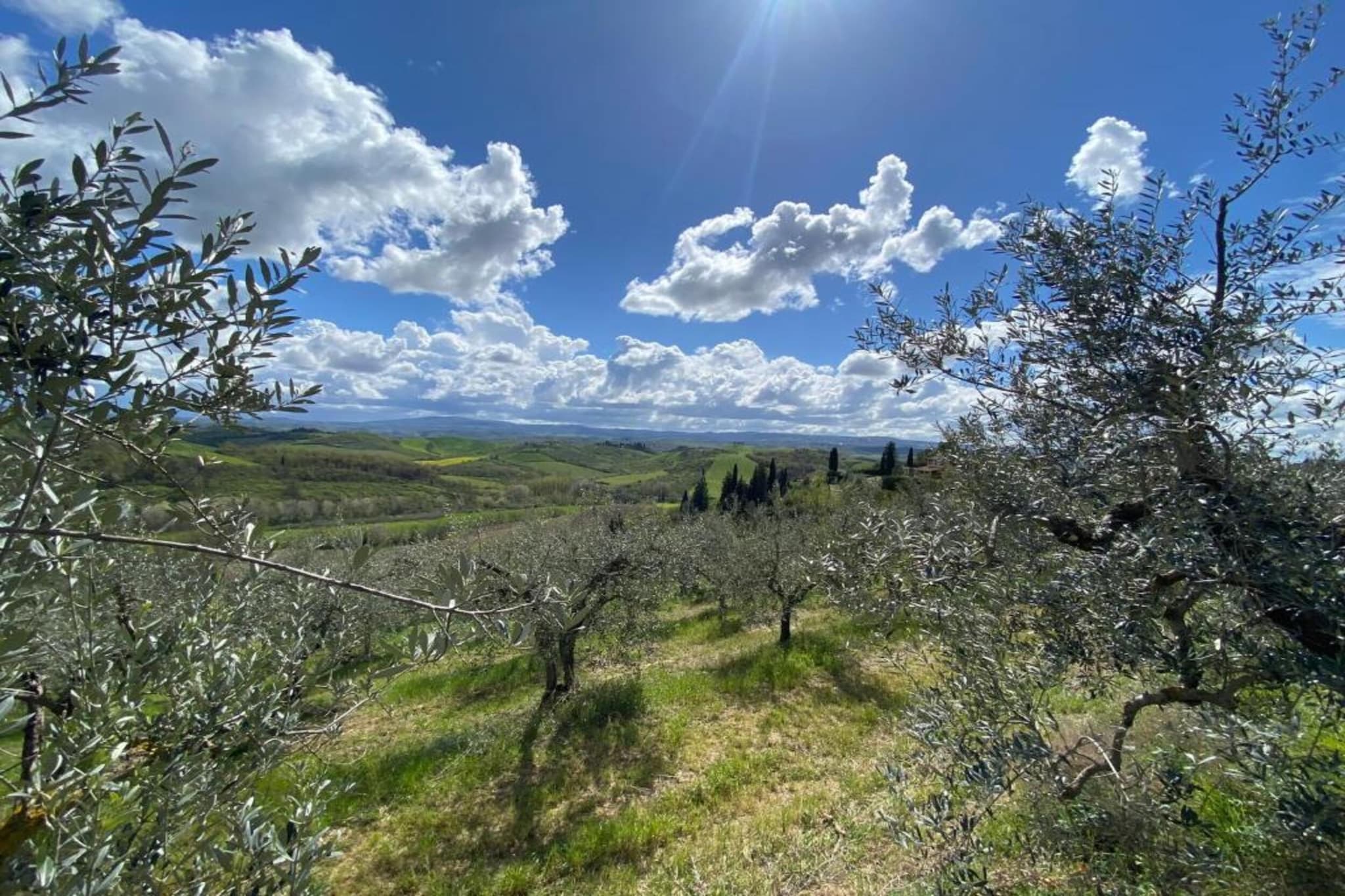 Abete-Areas summer 20km
