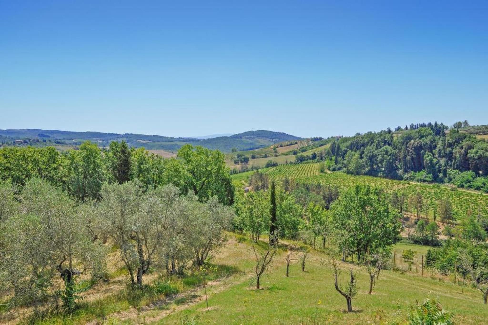 Abete-Areas summer 20km