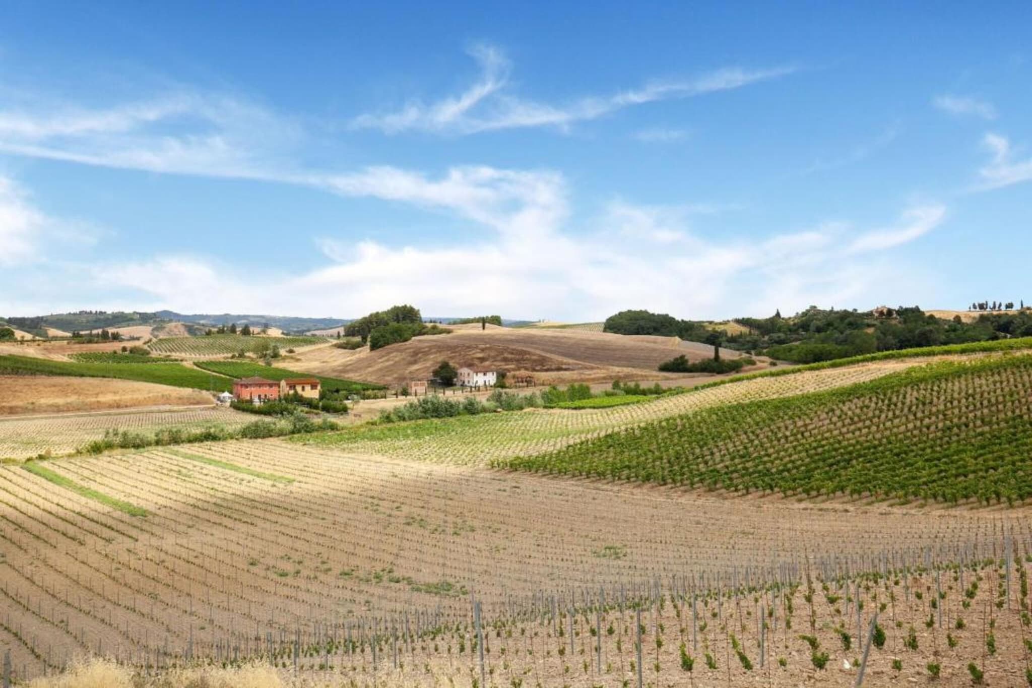 Conte-Areas summer 20km