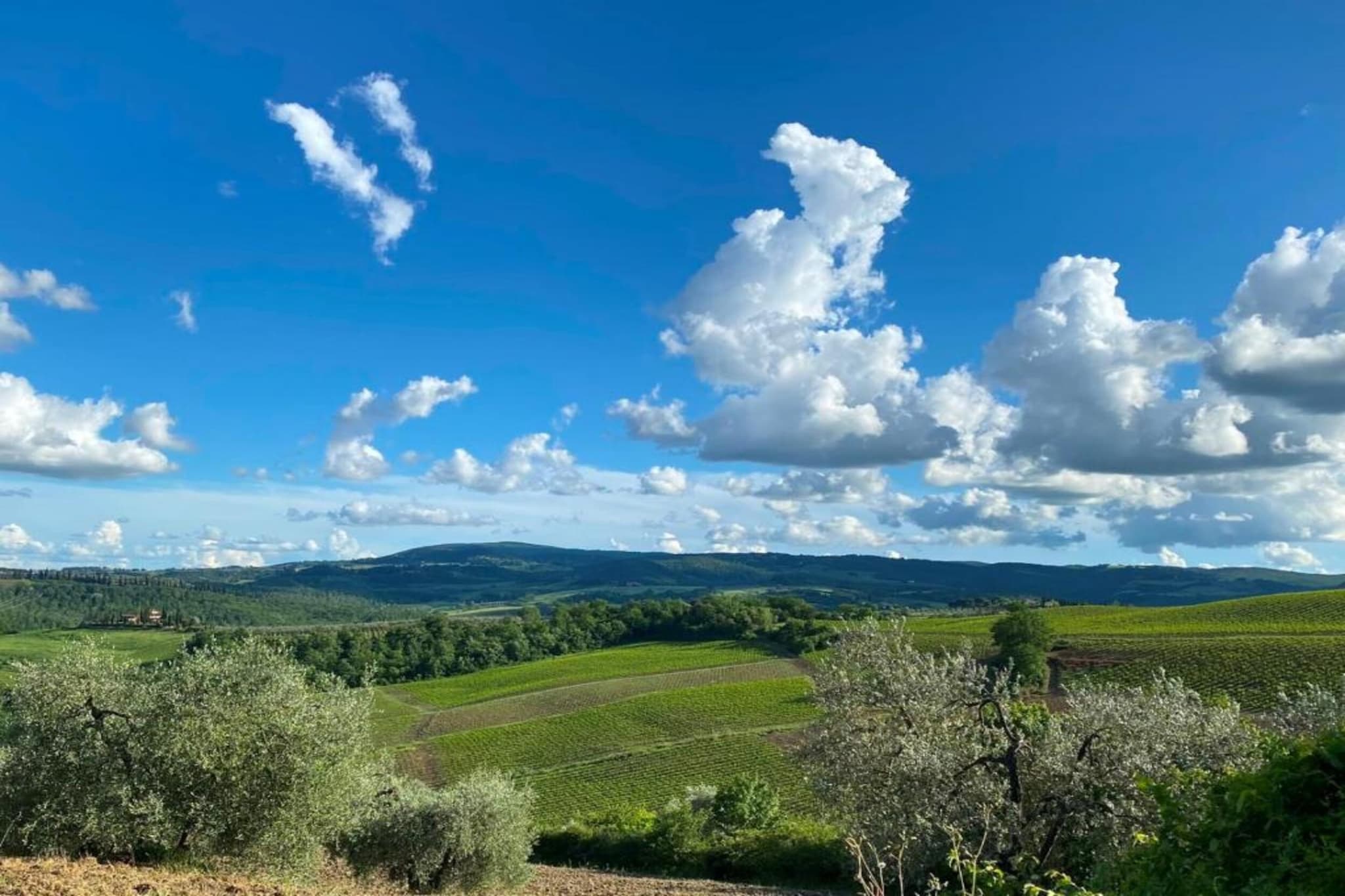 Conte-Areas summer 20km