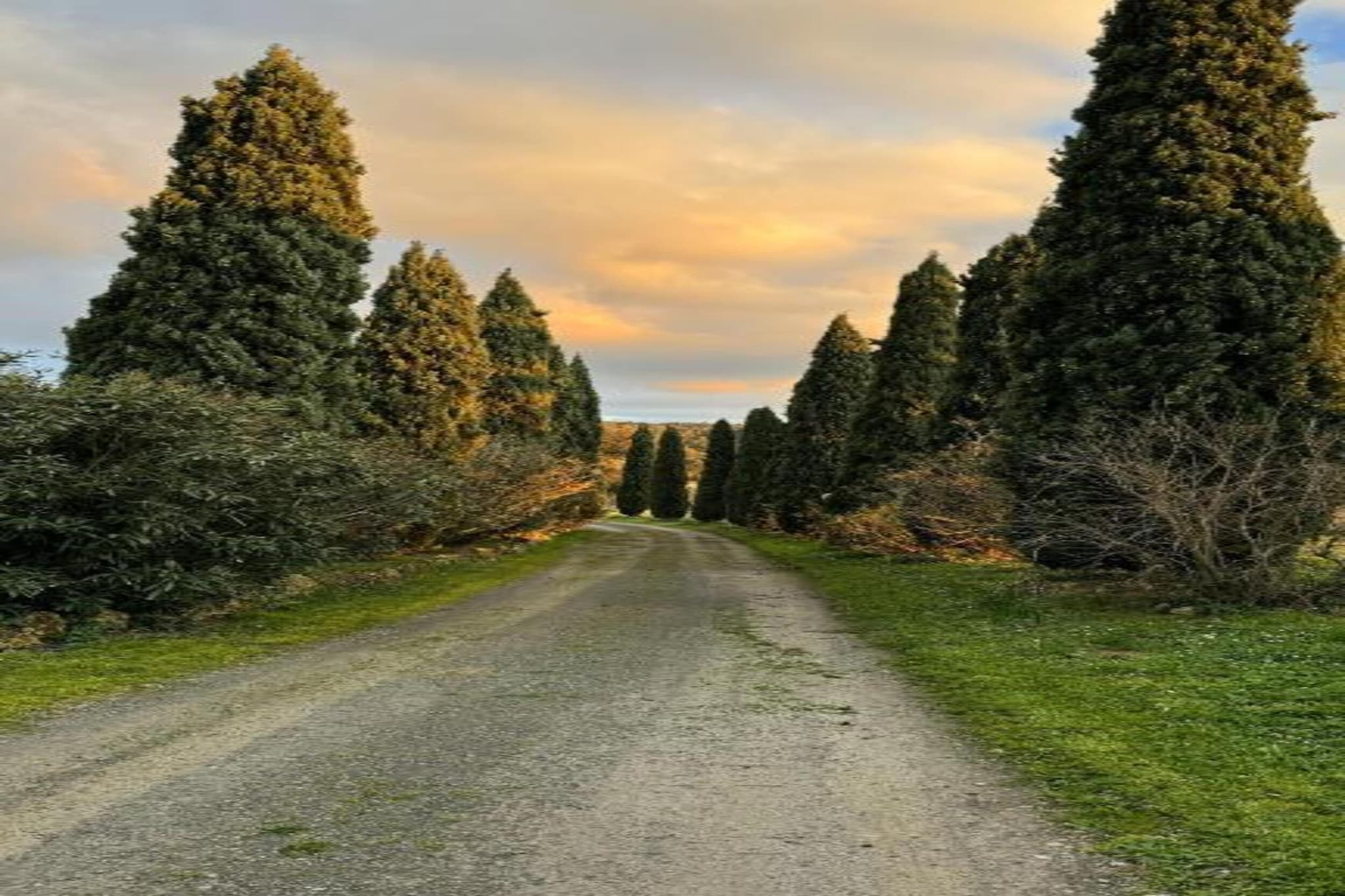 Conte-Areas summer 20km