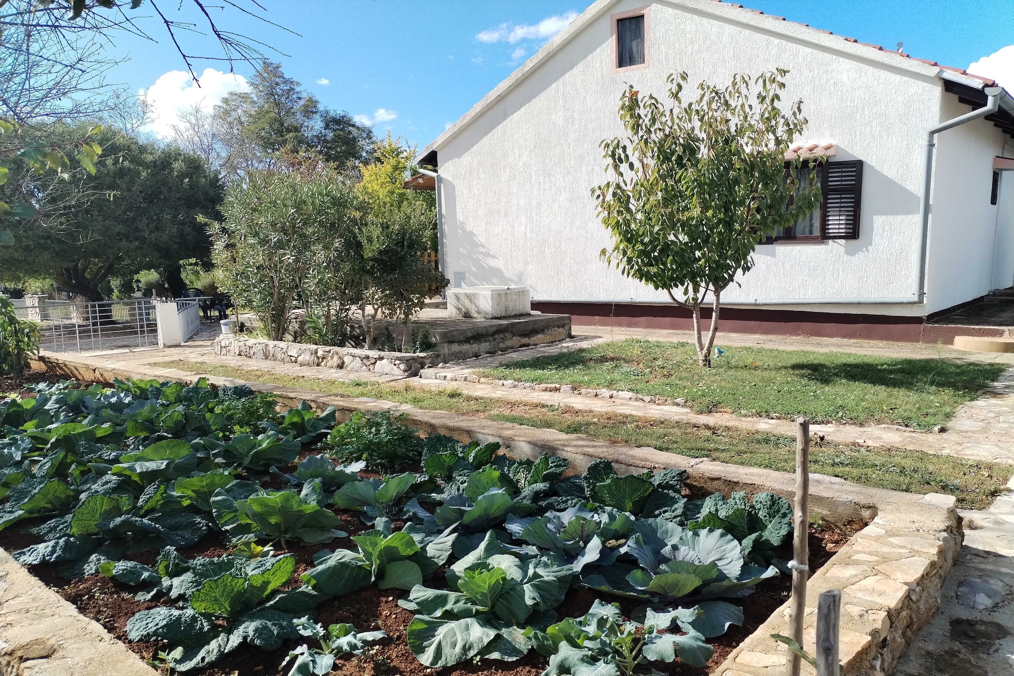 Holiday Home Višnja - Two Bedroom Holiday Home with Terrace-Buitenlucht