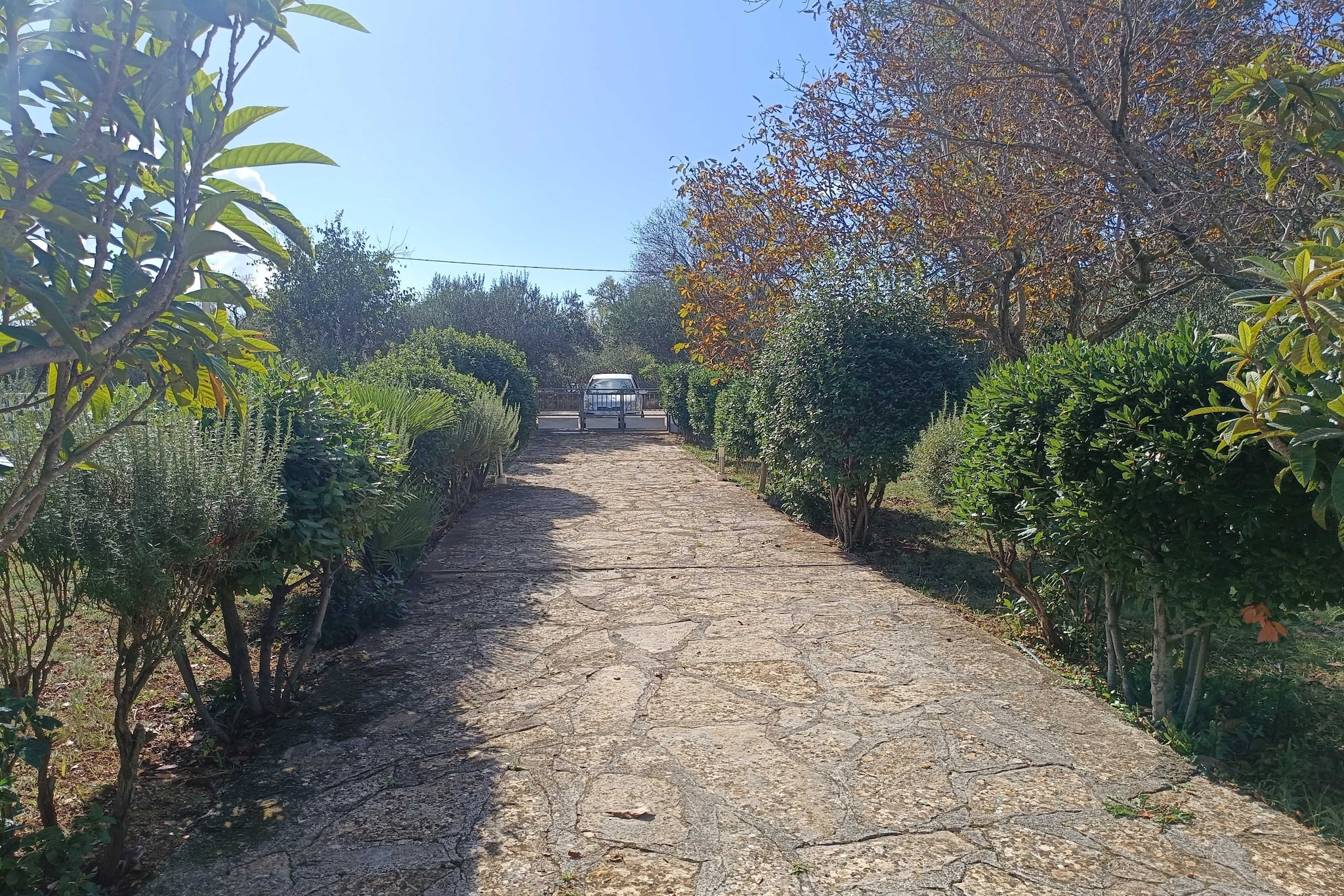 Holiday Home Višnja - Two Bedroom Holiday Home with Terrace-Buitenlucht