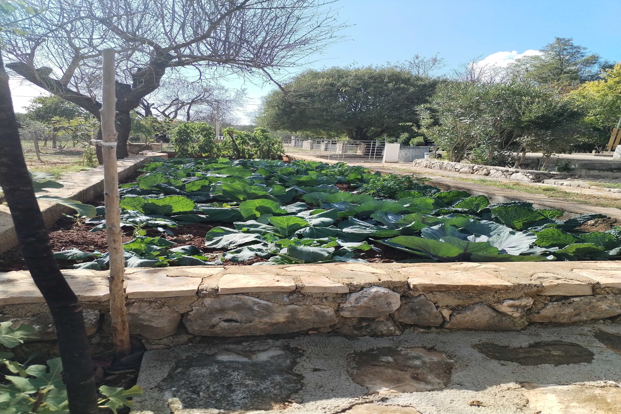 Holiday Home Višnja - Two Bedroom Holiday Home with Terrace-Buitenlucht