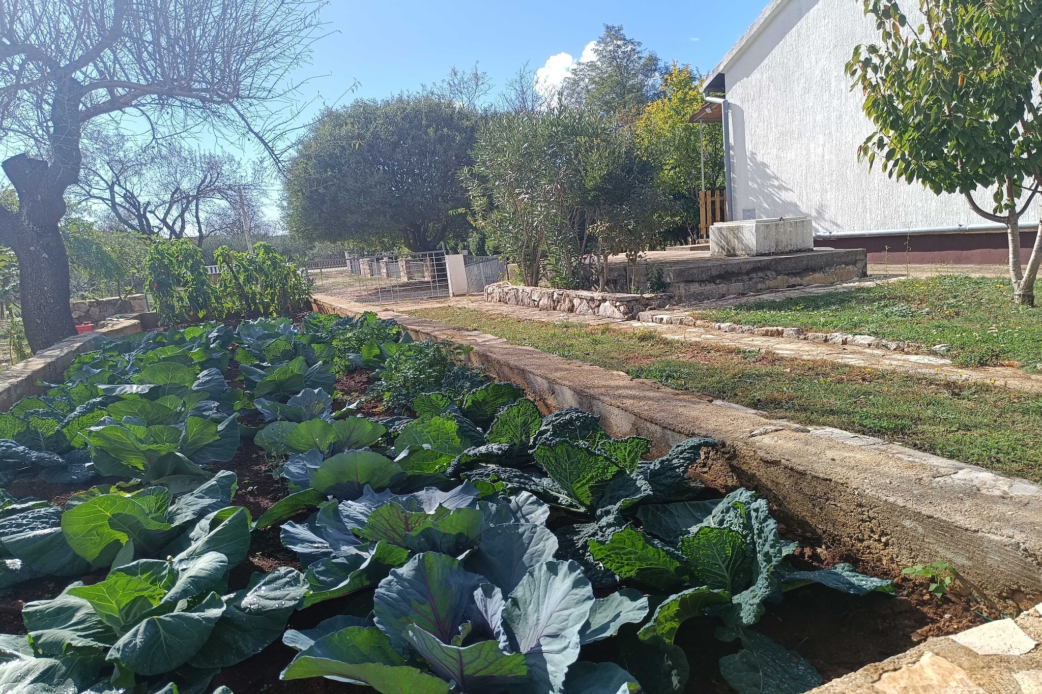 Holiday Home Višnja - Two Bedroom Holiday Home with Terrace-Buitenlucht