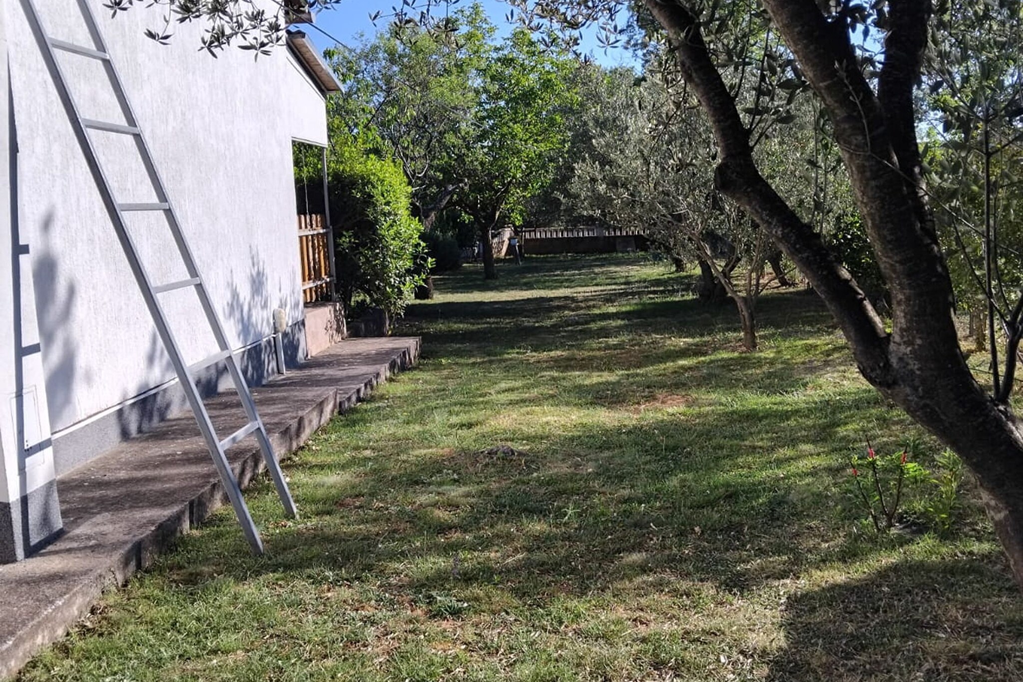 Holiday Home Višnja - Two Bedroom Holiday Home with Terrace - Outdoor