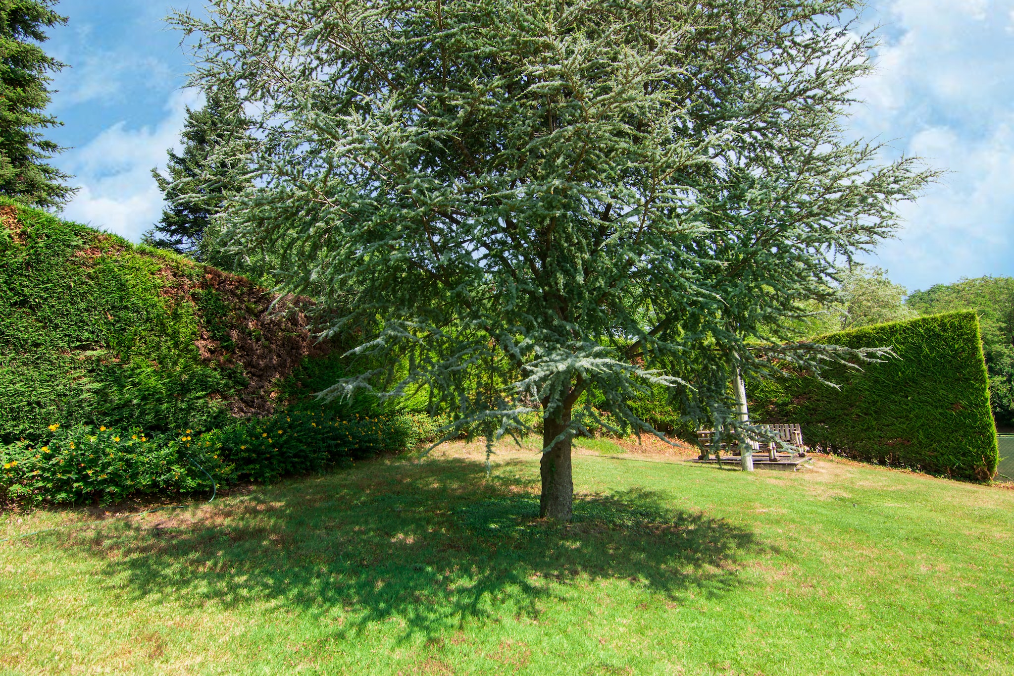 Apartamento Giardino-Jardin d'été