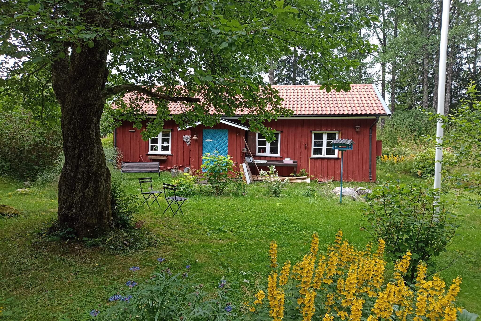 Outdoor