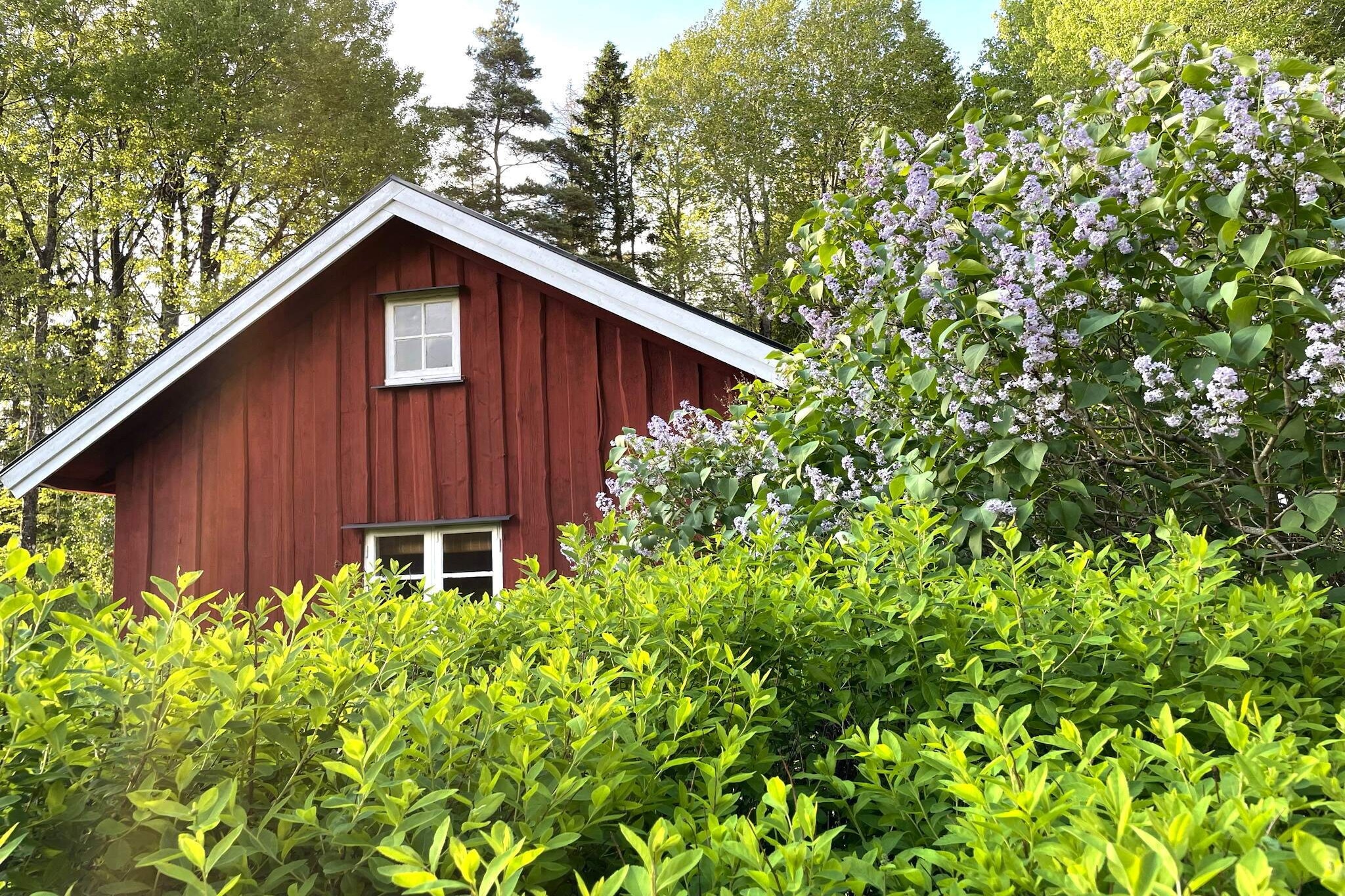 Outdoor