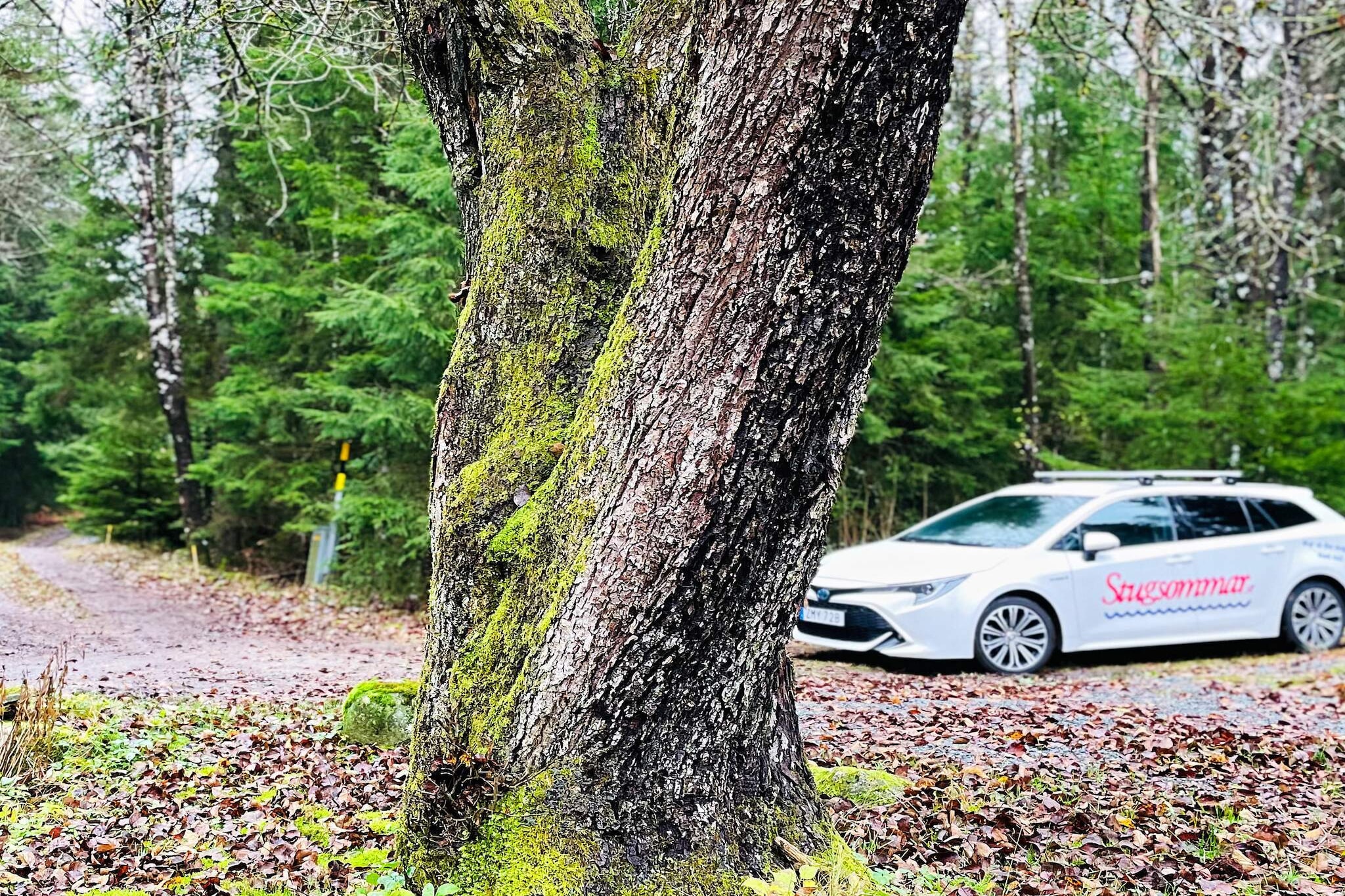 Outdoor