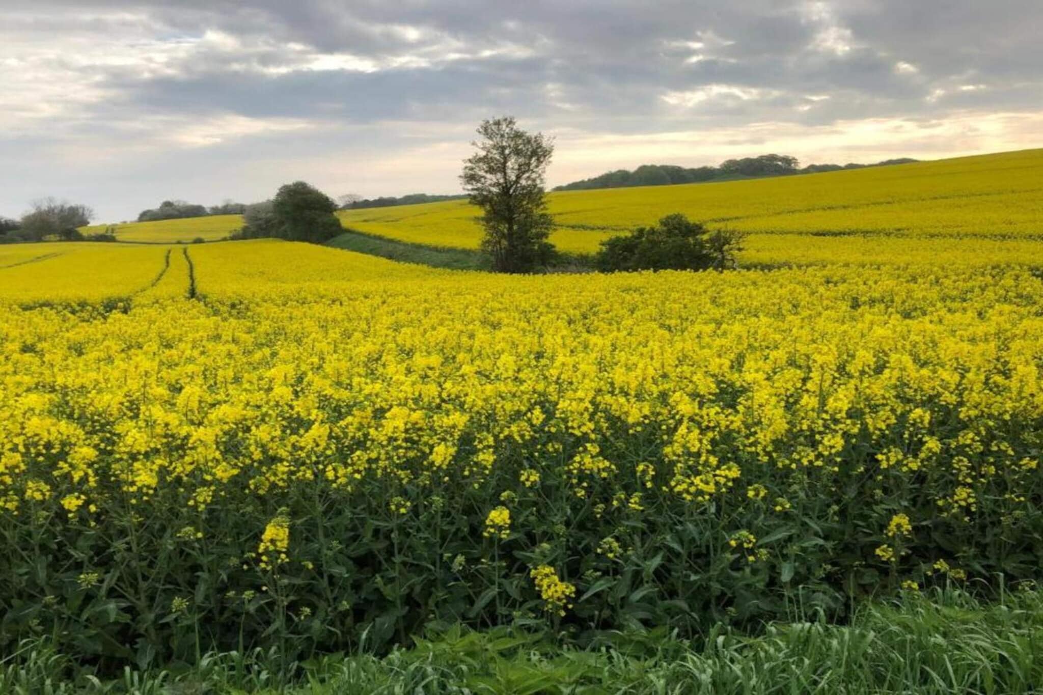 Sfeervol Vissershuisje -- By Traum Ferienwohnungen-Niet-getagd