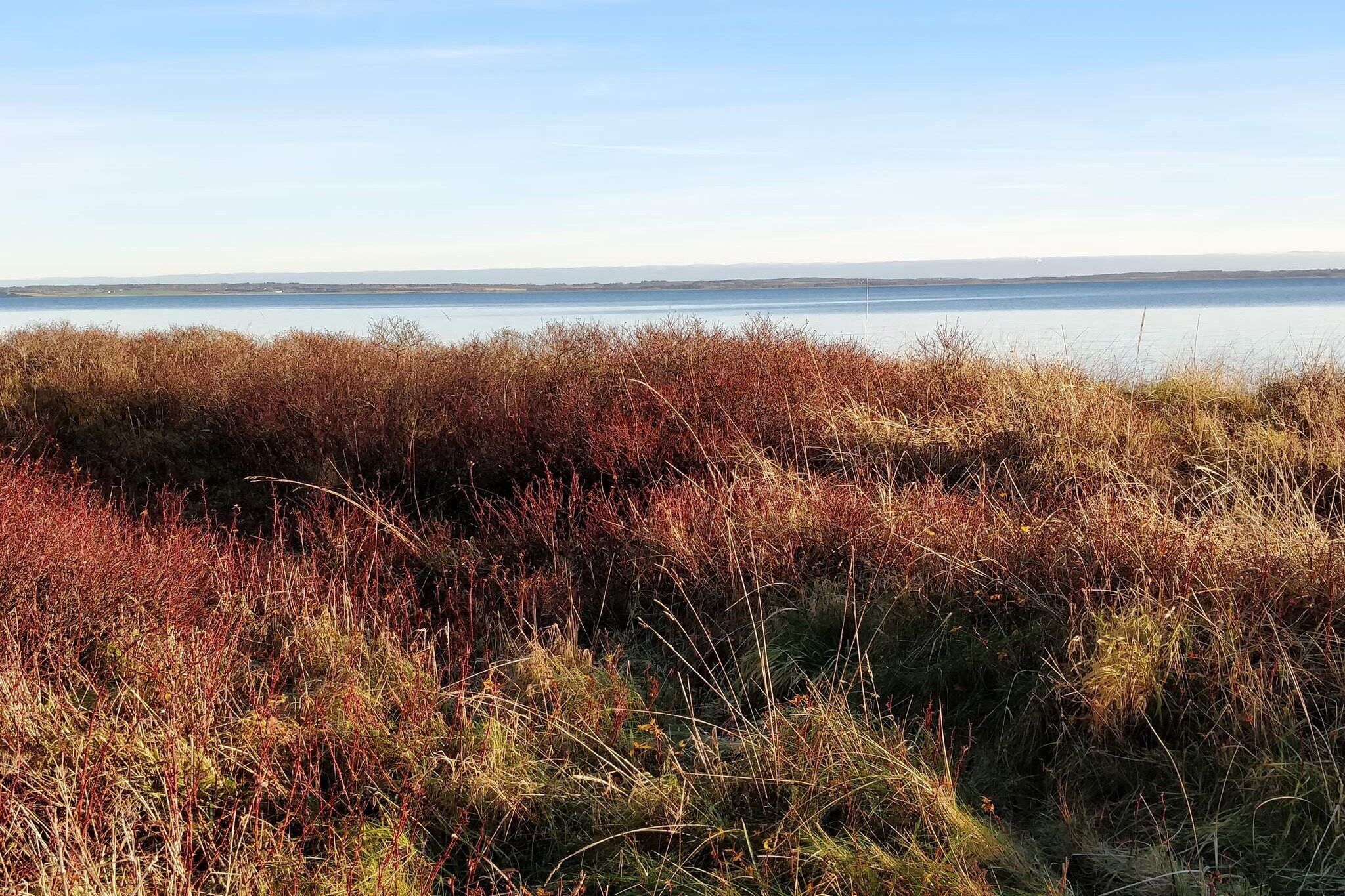 6 persoons vakantie huis in Roslev-By Traum-Niet-getagd