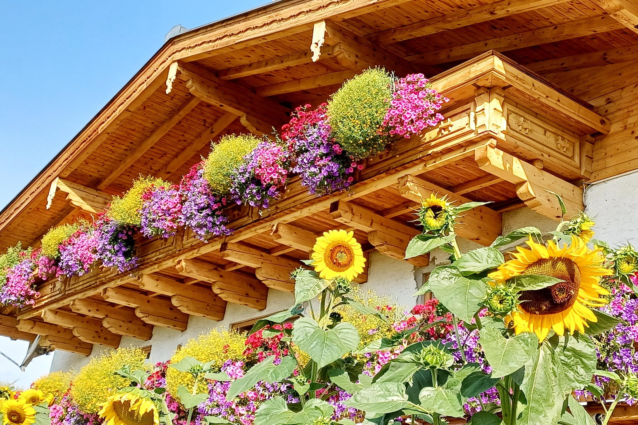 Ferienwohnung am Bio-Bauernhof-Extérieur été