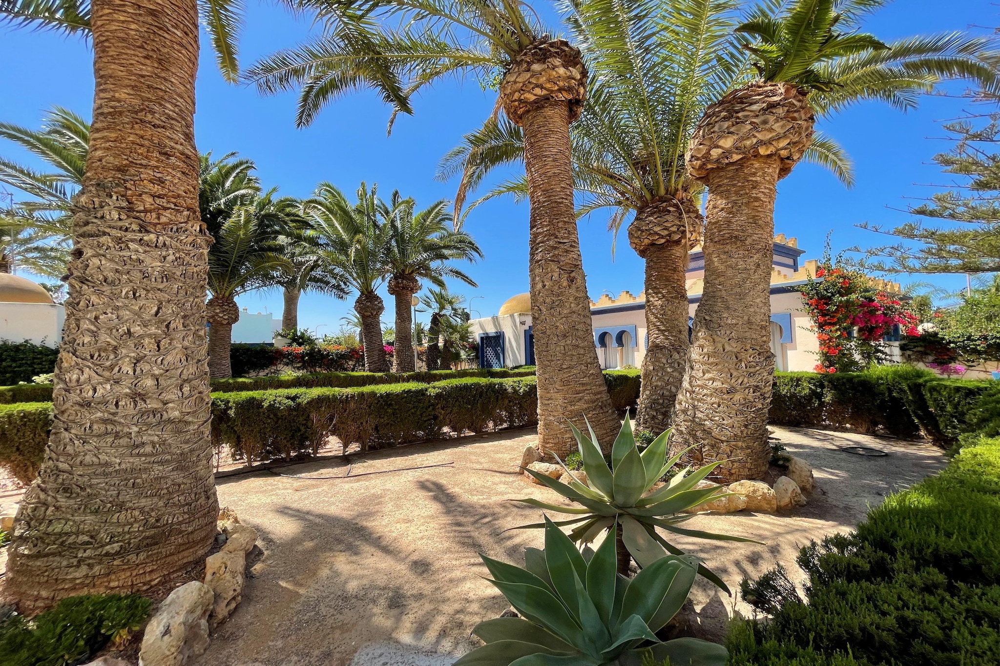 Residencial Hibiscus 408-Tuinen zomer