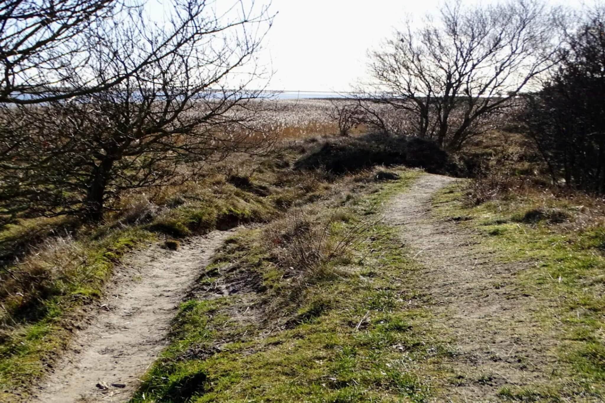 6 persoons vakantie huis in Hals-By Traum - Waterzicht