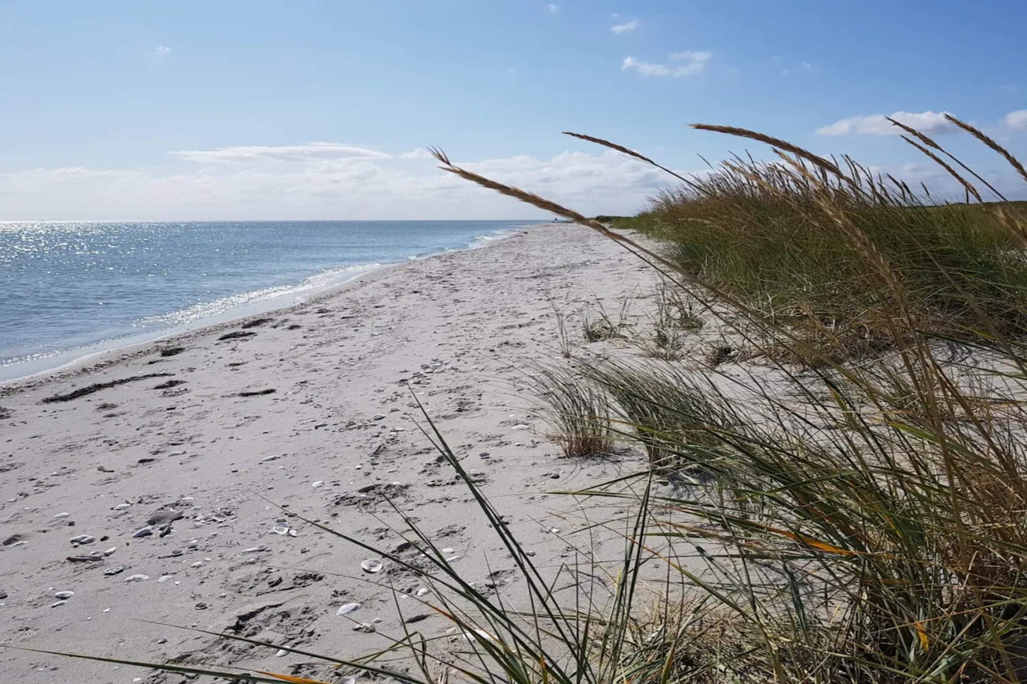 6 persoons vakantie huis in Hals-By Traum - Waterzicht