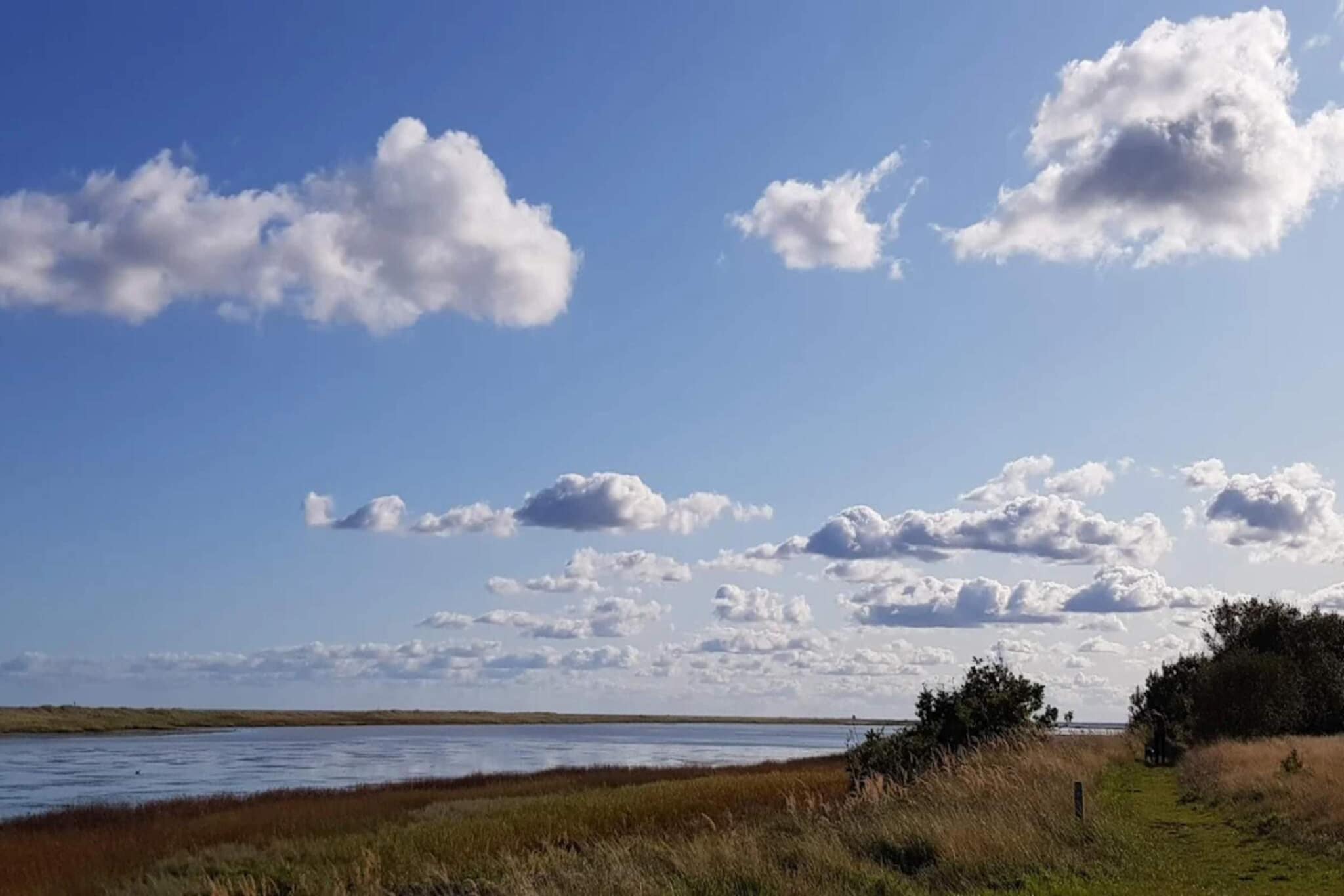 6 persoons vakantie huis in Hals-By Traum - Waterzicht