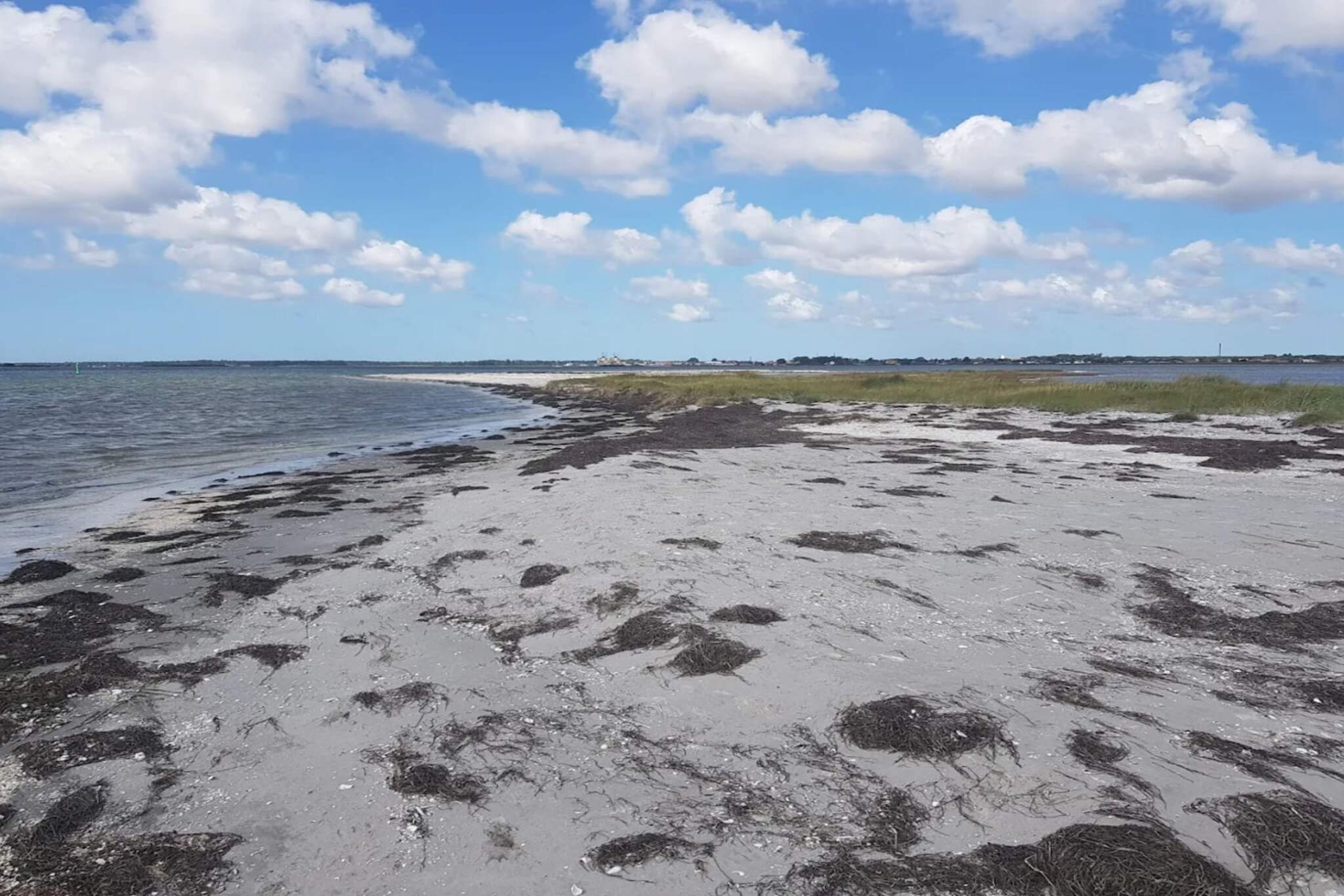 6 persoons vakantie huis in Hals-By Traum - Waterzicht