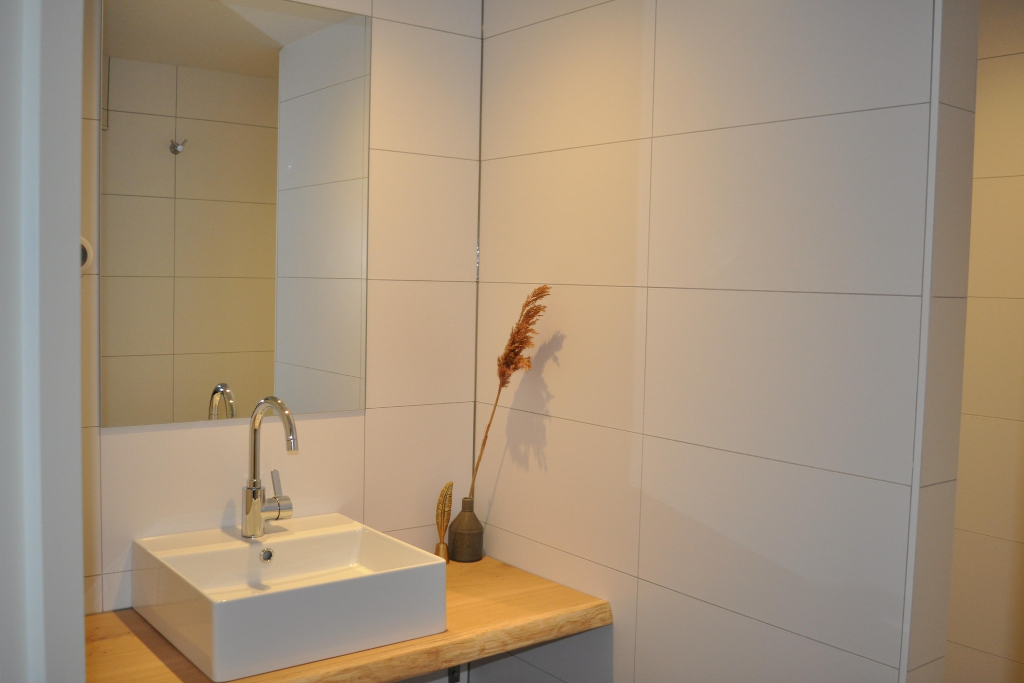 Dorpswoning De Volbloed-Salle de bain