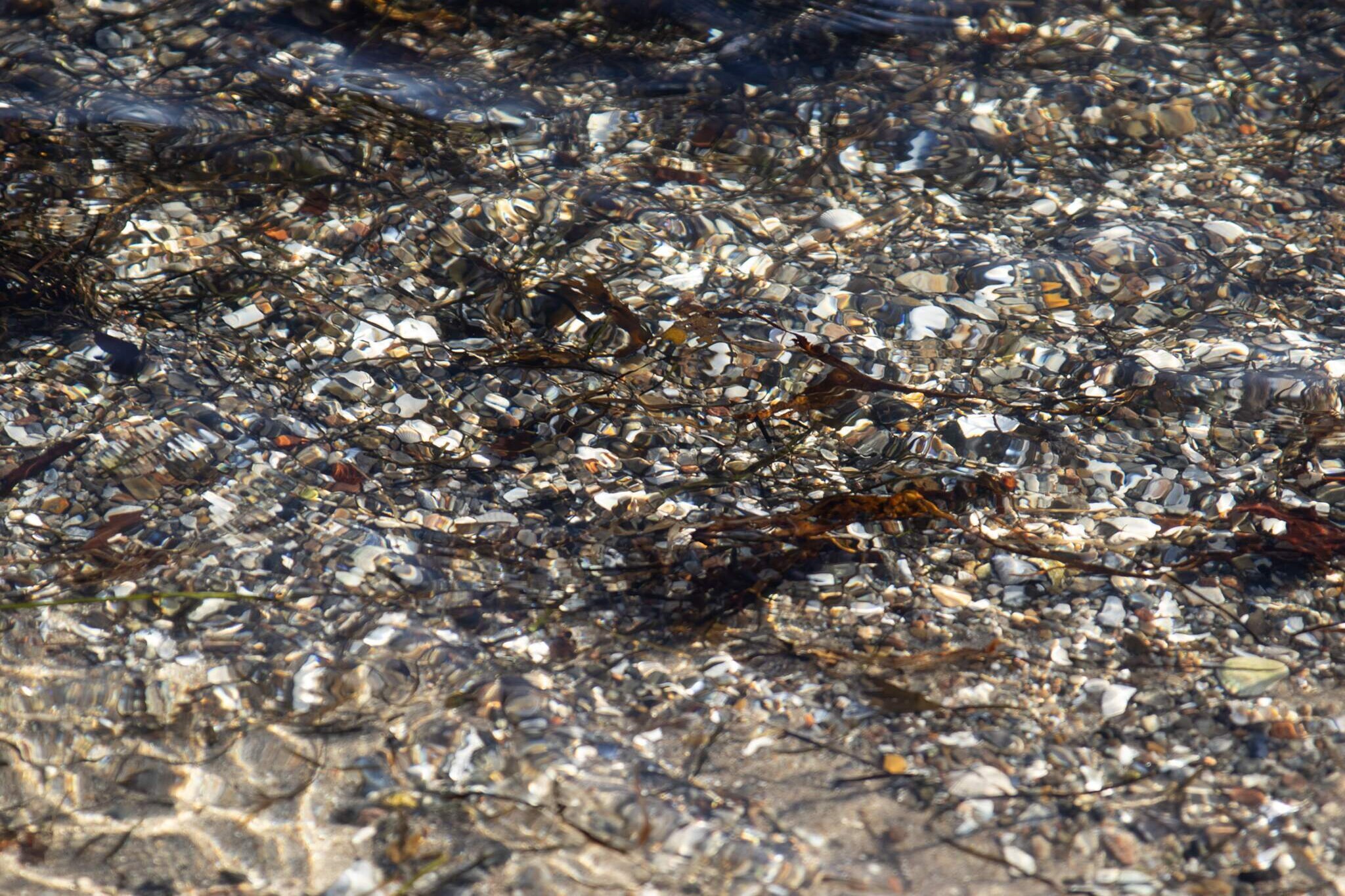 At Grønninghoved you will find this spacious holiday home offering a magnificent view of the Little Belt. Perfectly designed for relaxation, the house features a whirlpool bath and sauna inside, while outdoors you can enjoy a wood-heated hot tub for a truly unique wellness experience under the open sky. With its blend of comfort, space, and scenic surroundings, this house is an excellent choice for families seeking both leisure and adventure by the coast. The property offers four bedrooms, each with two sleeping places, as well as a loft area under the roof that provides additional space – ideal for children or extra guests. With two bathrooms, one of them equipped with whirlpool bath and direct access to the sauna, there is plenty of room and comfort for larger families. Step outside and you will find the hot tub, where up to five people can relax together while enjoying the peaceful setting, whether under the afternoon sun or the starry night sky. For entertainment, a cozy activity room offers various games and space for family fun. Outdoors, a large partially covered terrace invites you to enjoy meals, barbecue evenings, or simply take in the view across the water. Thanks to the short distance to the shoreline, you can easily spend your days swimming, playing, or strolling along the sandy beach. This combination of wellness amenities, family-friendly layout, and a prime coastal location makes the house a wonderful base for an unforgettable holiday.A refundable deposit might be charged closer to your check-in date. The security deposit ensures a smooth stay and covers any additional services or consumption charges.This deposit covers utilities consumed during your stay and any additional services that may be taken.The final amount will be adjusted based on actual meter readings, actual usage of extra services, and any remaining balance will be refunded within 21 days after checkout.This deposit simply acts as a prepayment for charges that  you would anyways pay for, ensuring a seamless stay and check-out experience.