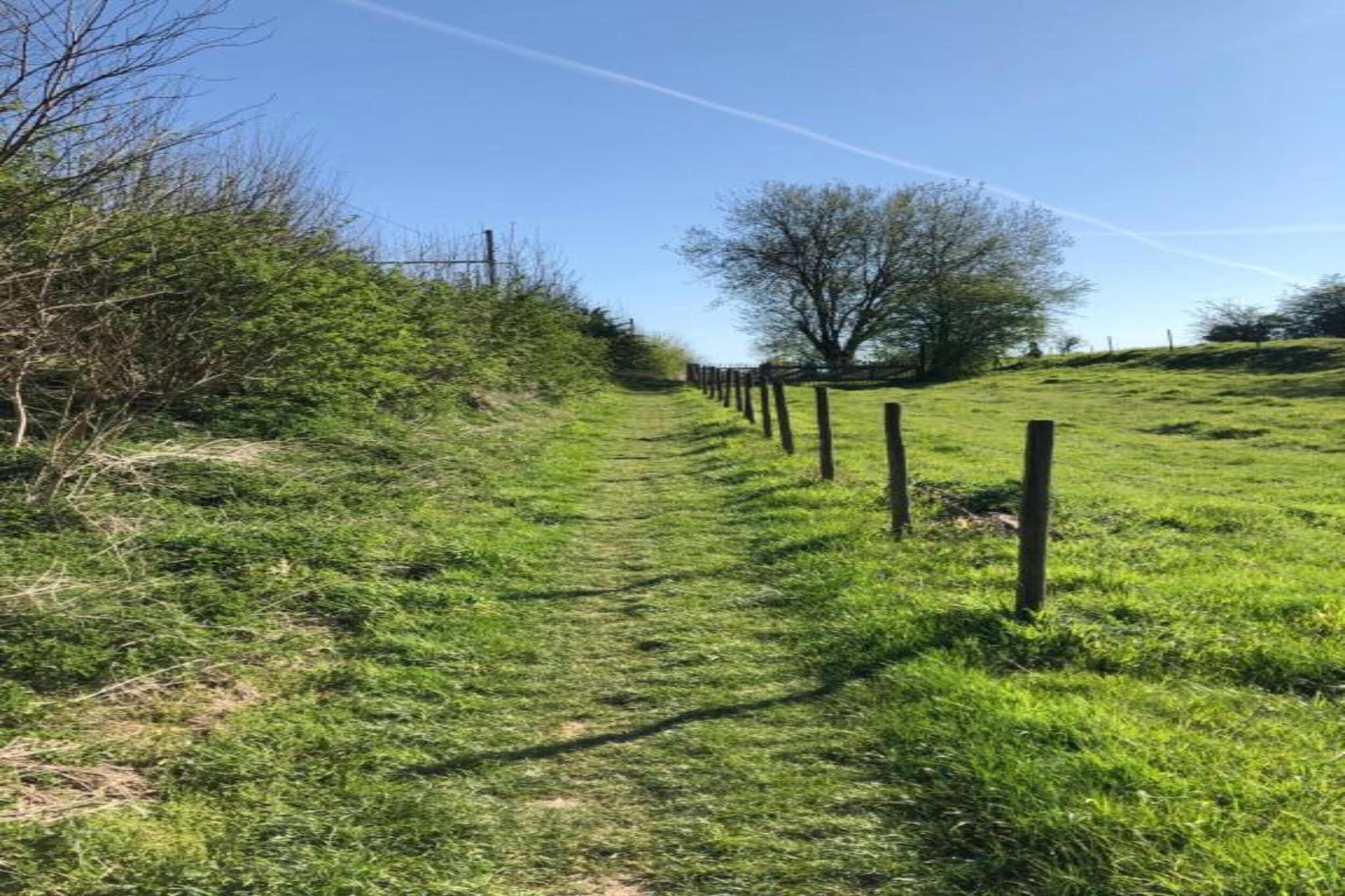 Leenhaag-Gebiete Sommer 20 km