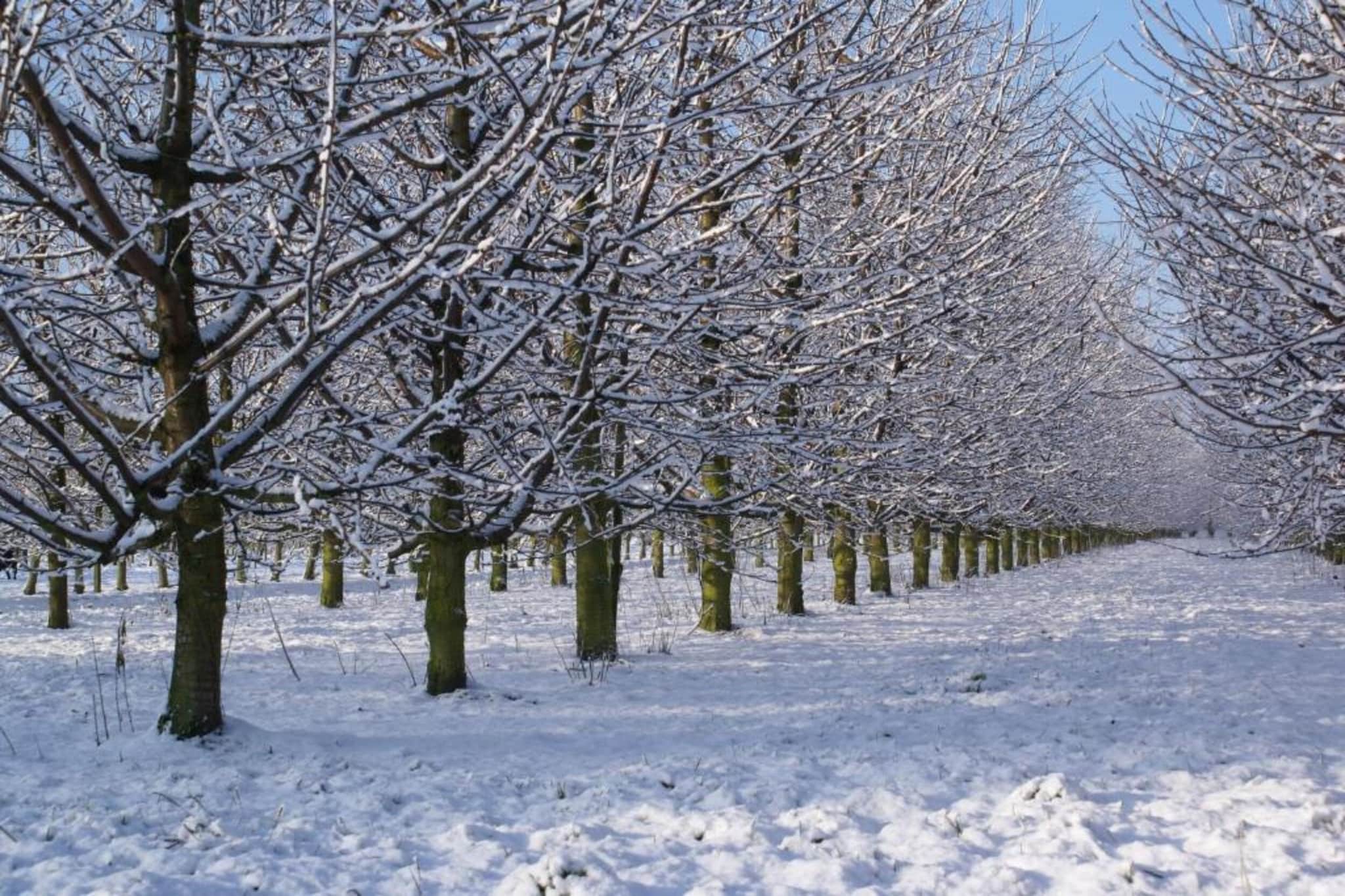 Leenhaag-Gebiet Winter 20 km