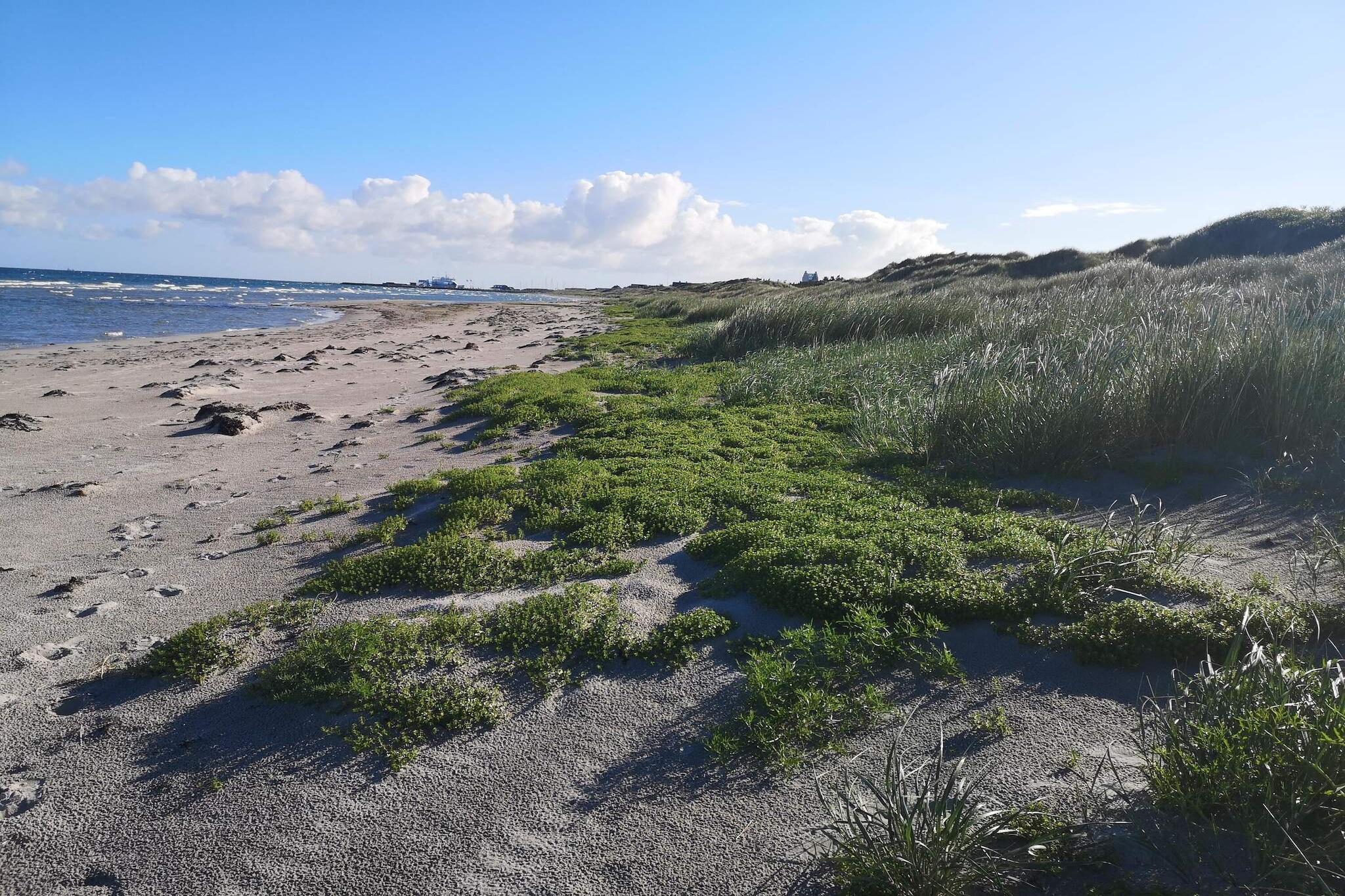 4 persoons vakantie huis in Læsø-By Traum-Niet-getagd