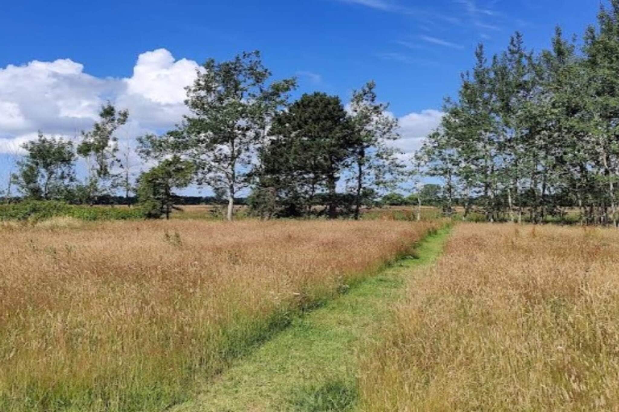 4 persoons vakantie huis in Hals-By Traum-Buitenlucht